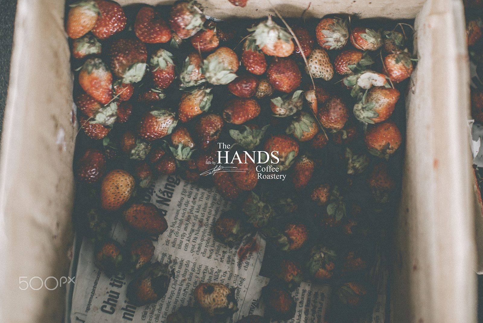 Nikon D80 + Sigma 30mm F1.4 EX DC HSM sample photo. The hands coffee photography