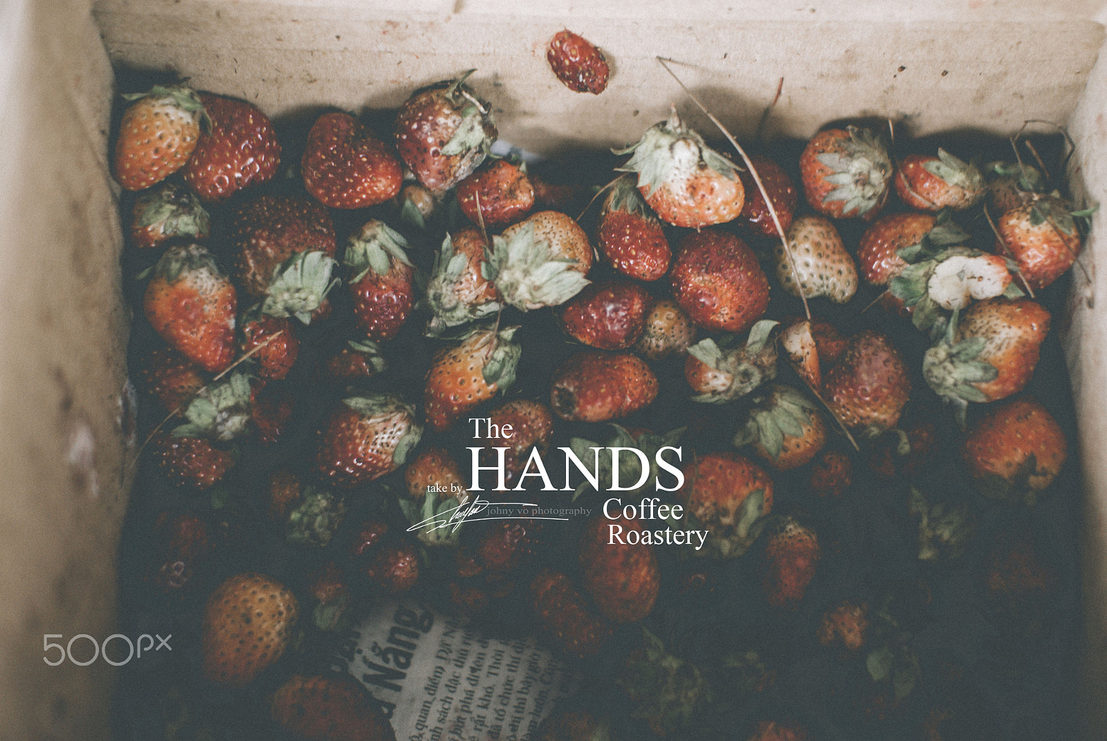 Nikon D80 + Sigma 30mm F1.4 EX DC HSM sample photo. The hands coffee photography