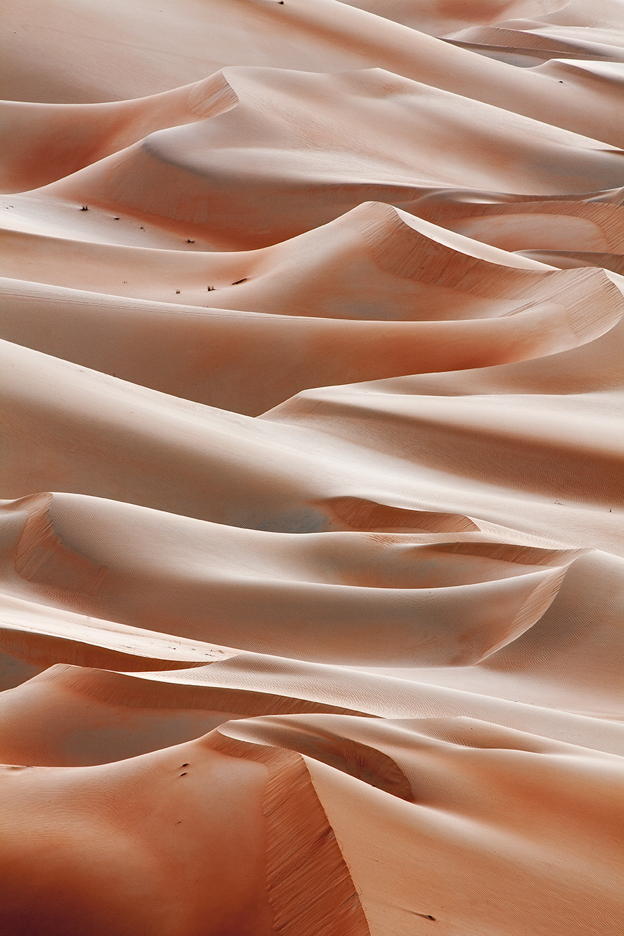 Canon EF 70-200mm F2.8L IS USM sample photo. Art from desert photography