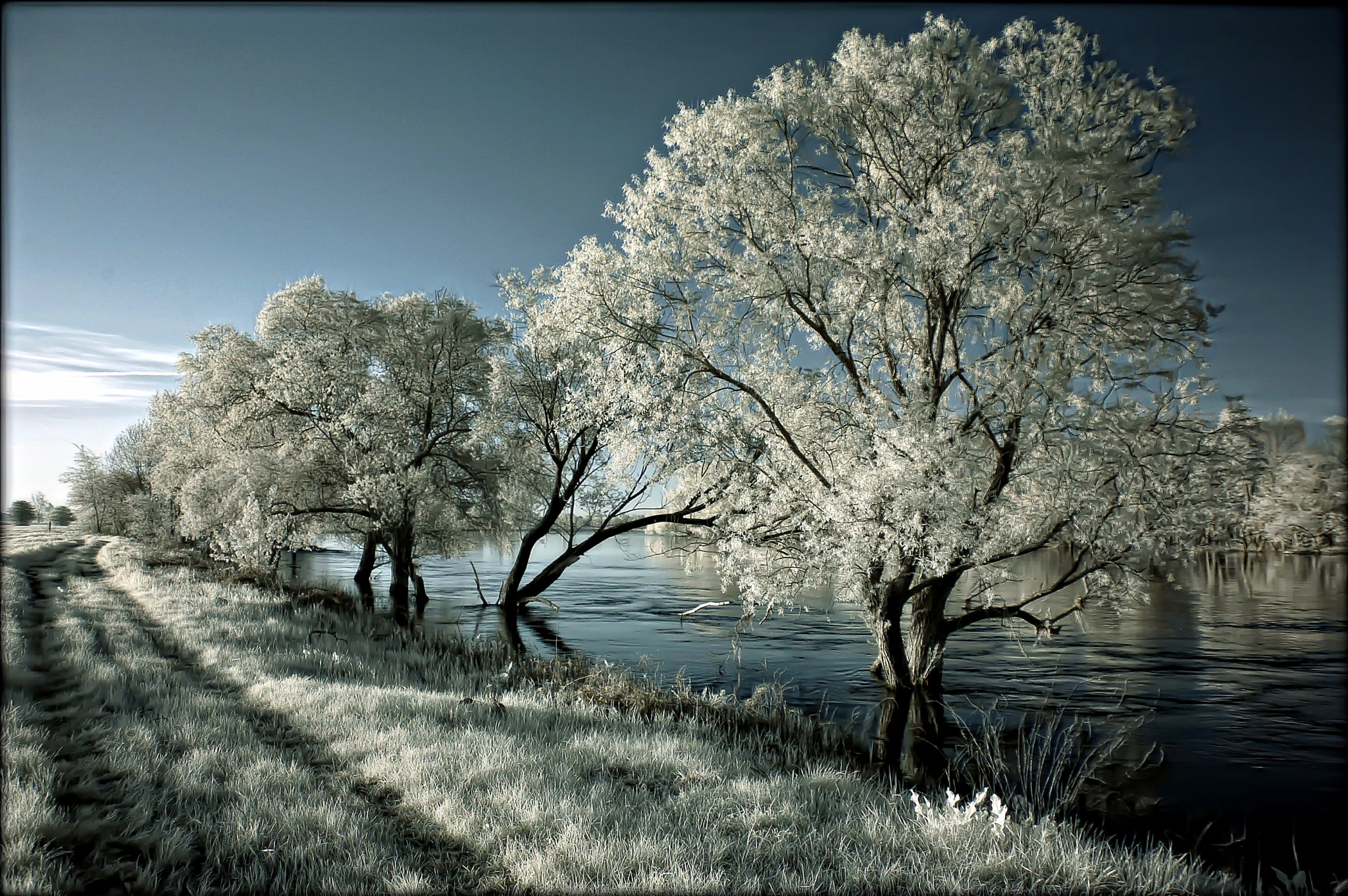 Nikon D50 sample photo. X photography