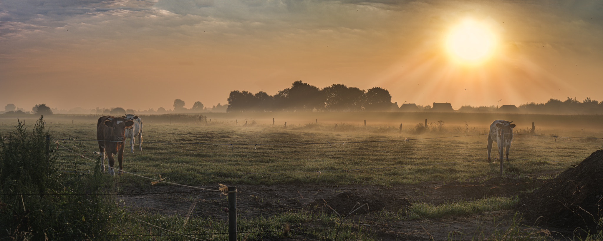 Tamron AF 28-75mm F2.8 XR Di LD Aspherical (IF) sample photo. Sunrise ii photography