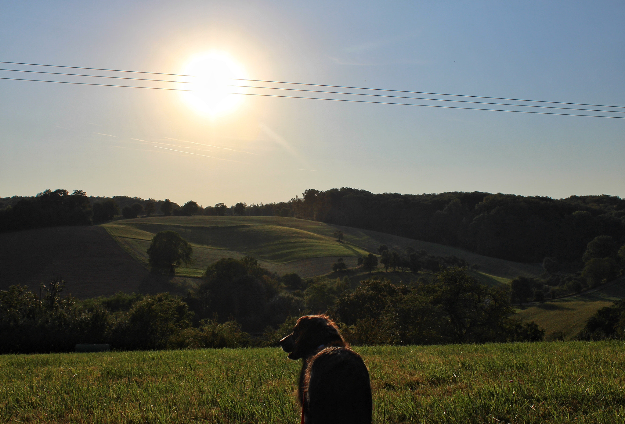 Canon EF-S 18-55mm F3.5-5.6 IS II sample photo. Landscape and dog photography