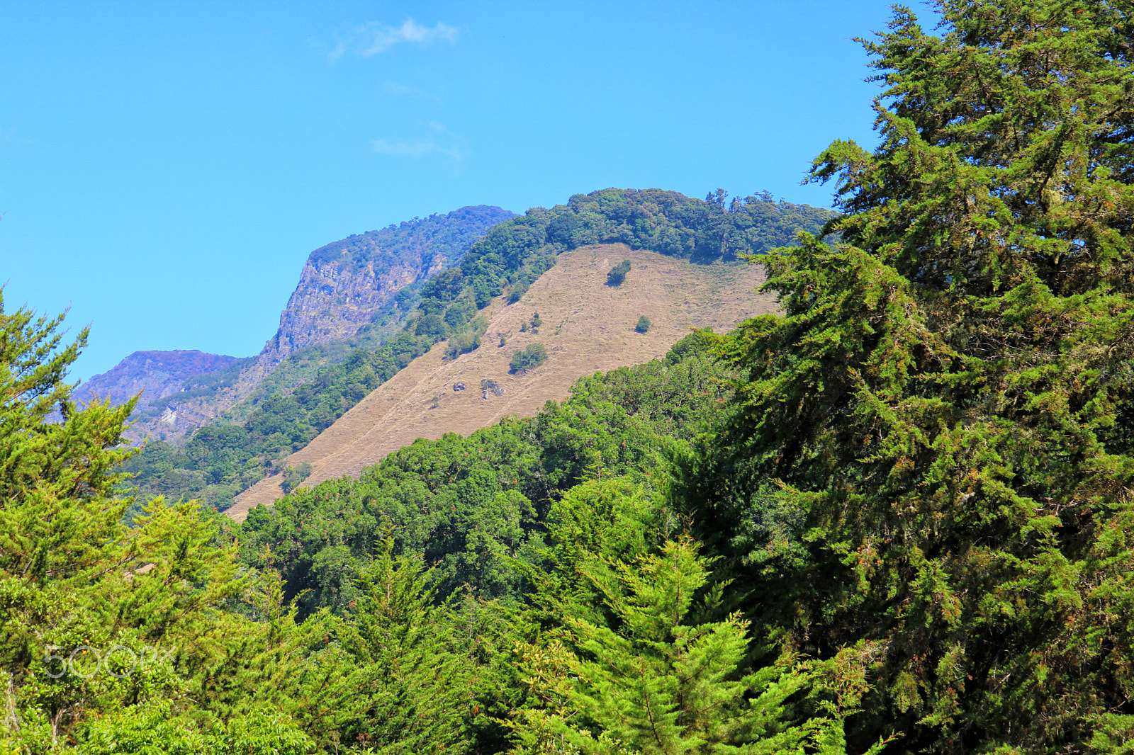 Canon EOS 750D (EOS Rebel T6i / EOS Kiss X8i) sample photo. The countryside photography