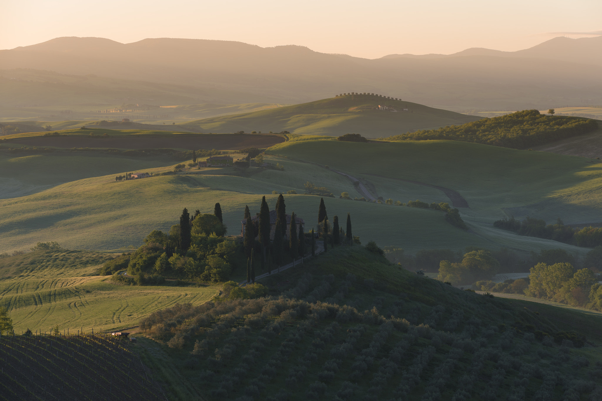 Nikon D4 sample photo. Tuscany morning photography