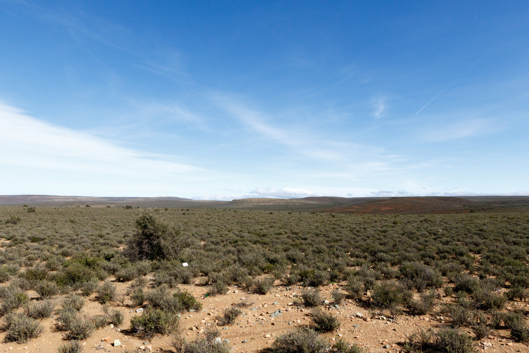 Canon EF 300mm f/2.8L sample photo. Green and cold - the view from the sutherland observatory salt photography