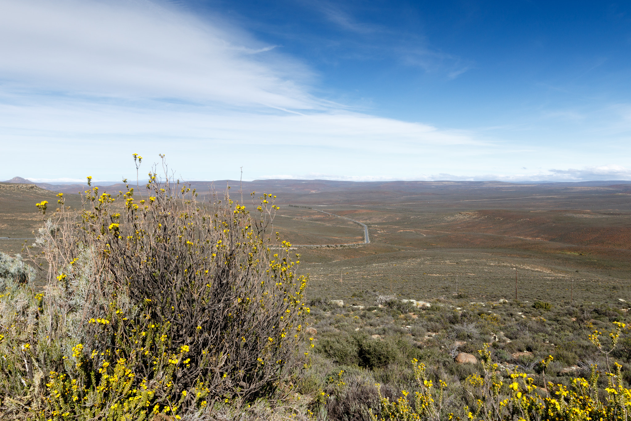 Canon EF 300mm f/2.8L sample photo. Yellow in a field of nothing - the view from the sutherland observatory salt photography