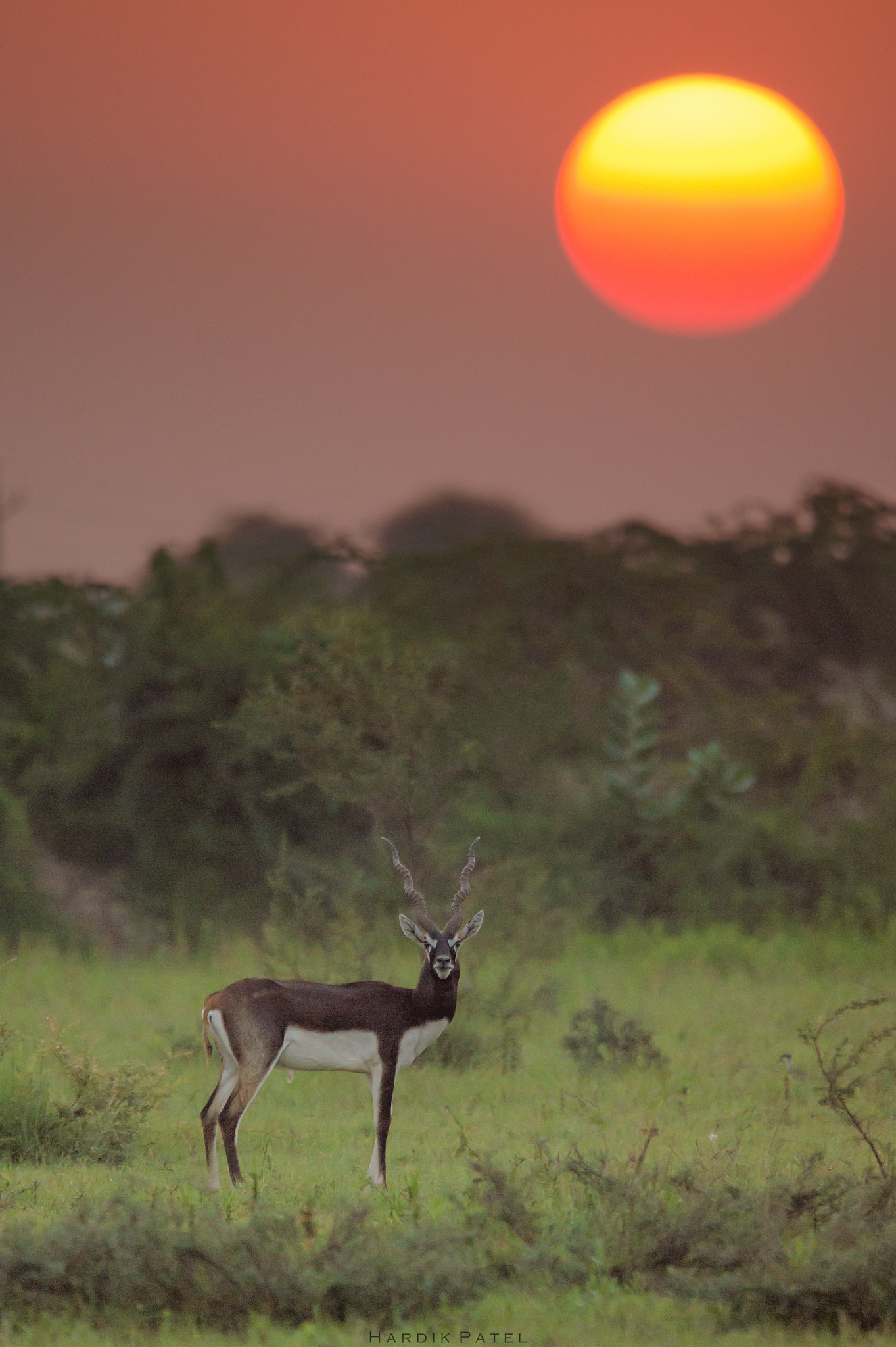 Nikon D4S sample photo. Beautiful sunset photography