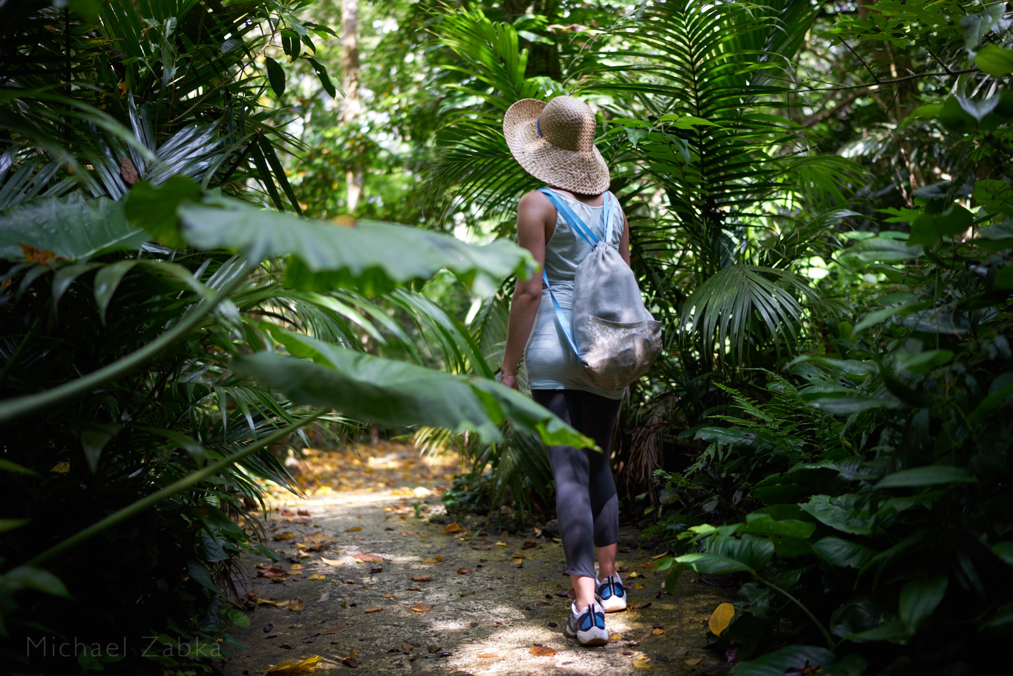 Sony a7R + Sony Distagon T* FE 35mm F1.4 ZA sample photo. Exploring the ishigaki jungle (japan) photography