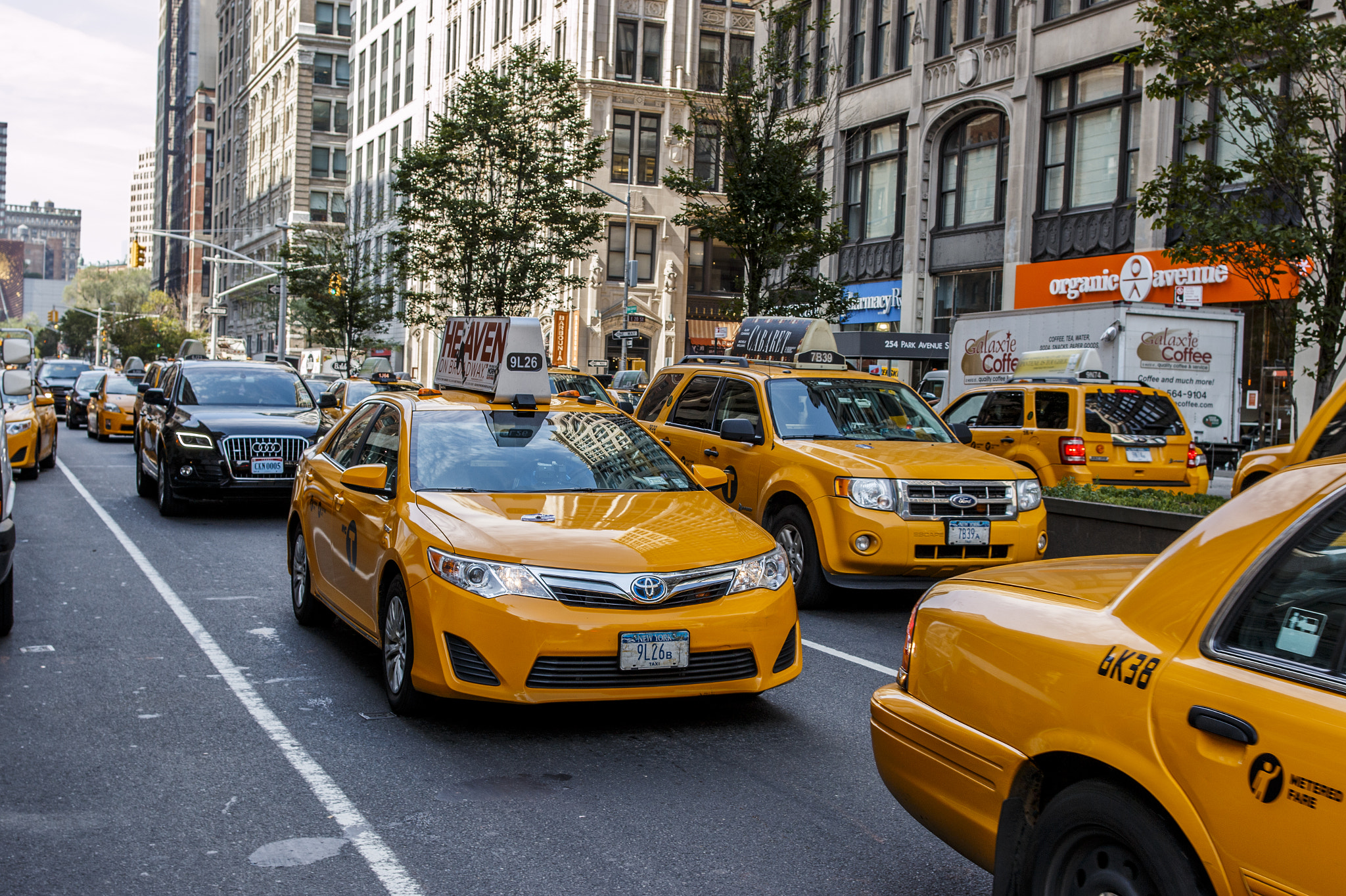 Canon EOS 70D + Canon EF 28mm F1.8 USM sample photo. That yellow tone photography