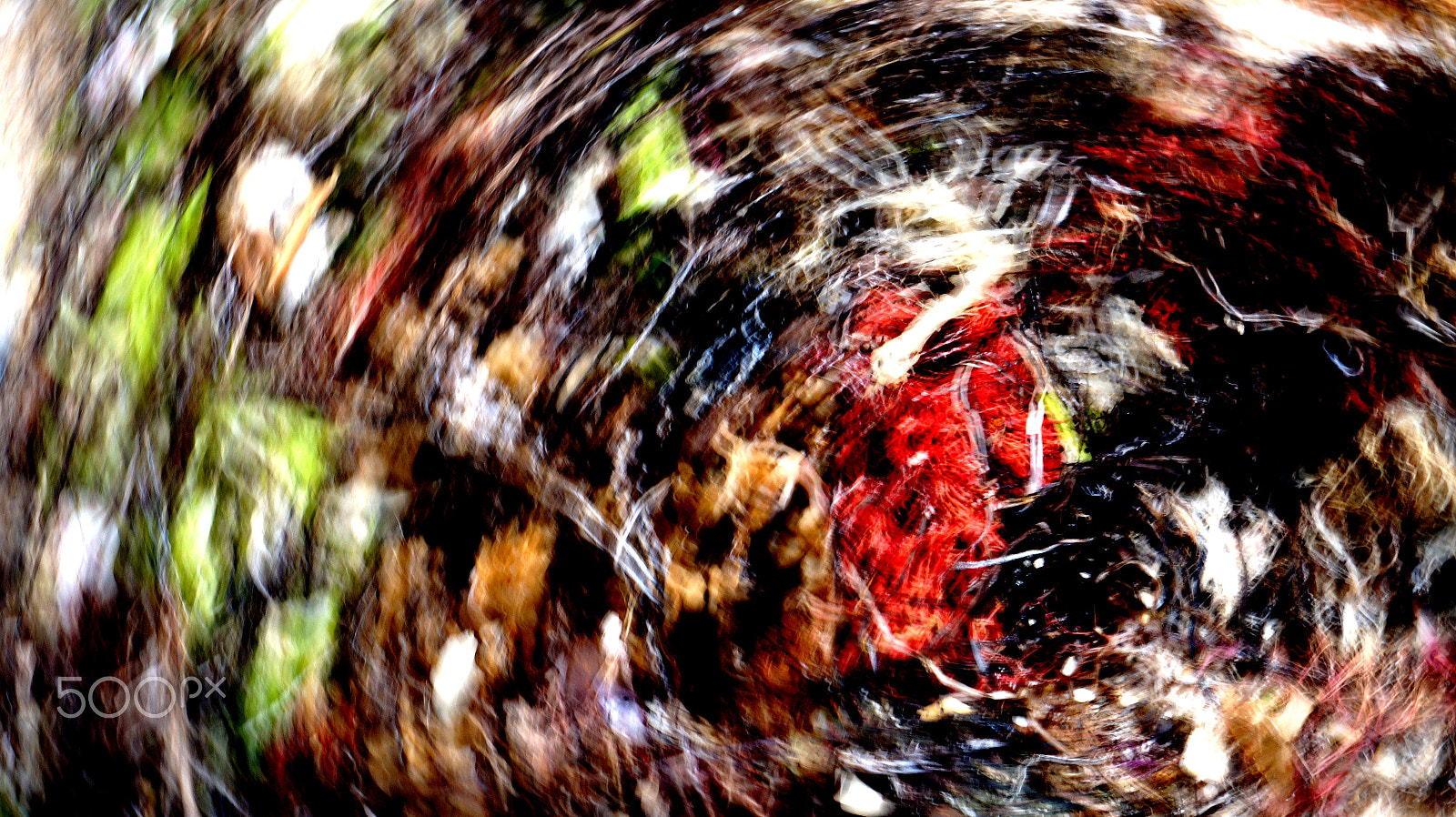 Sony FE 28-70mm F3.5-5.6 OSS sample photo. The heart of chaos photography