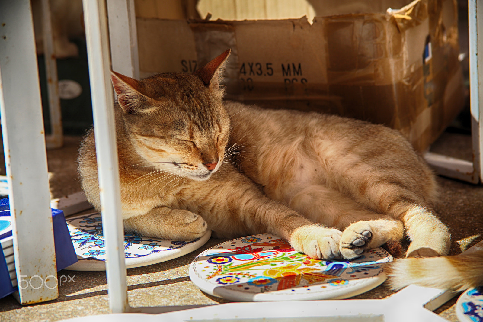 Canon EF 28-200mm F3.5-5.6 USM sample photo. Mod photography