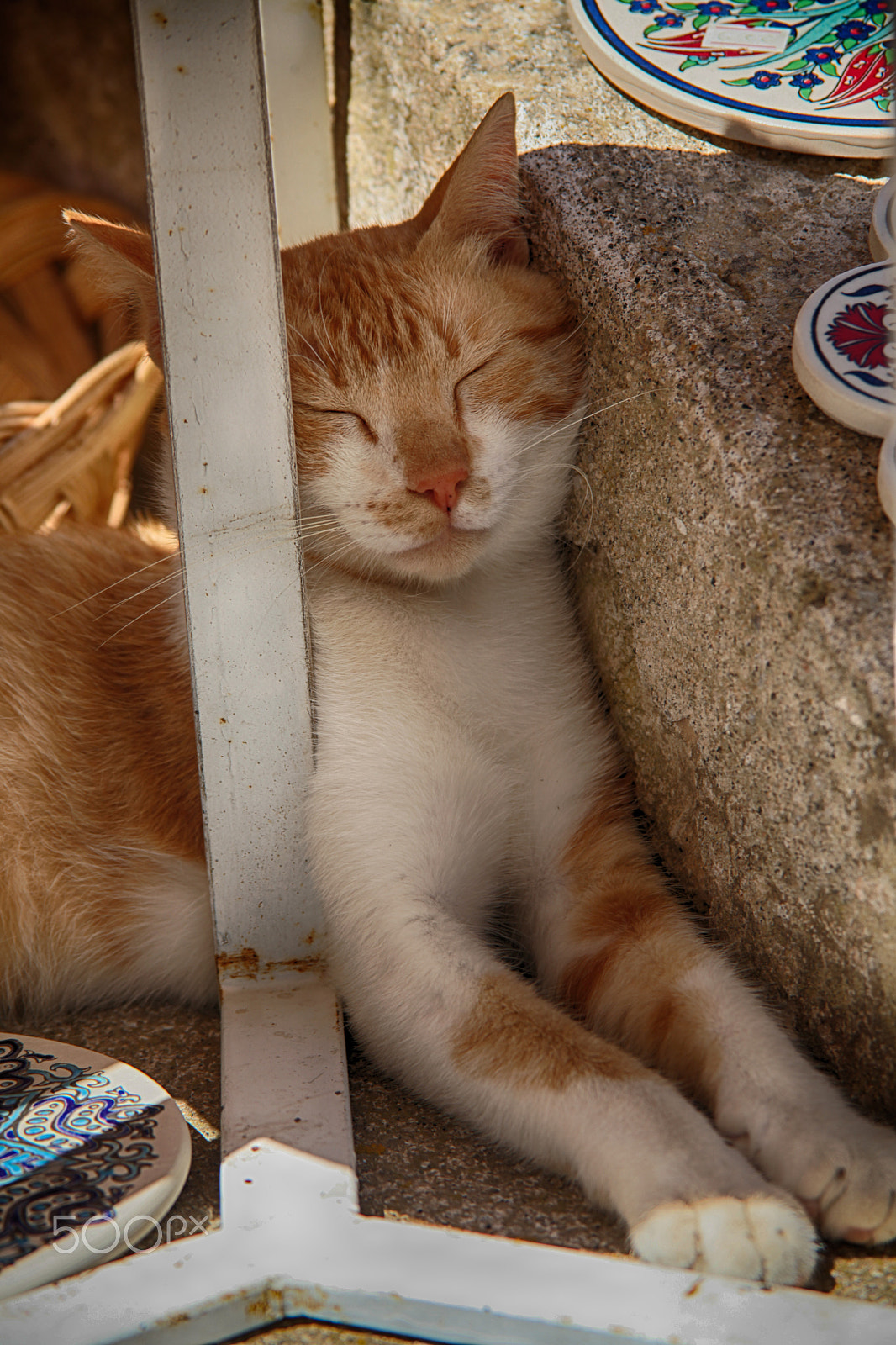 Canon EF 28-200mm F3.5-5.6 USM sample photo. Mod photography