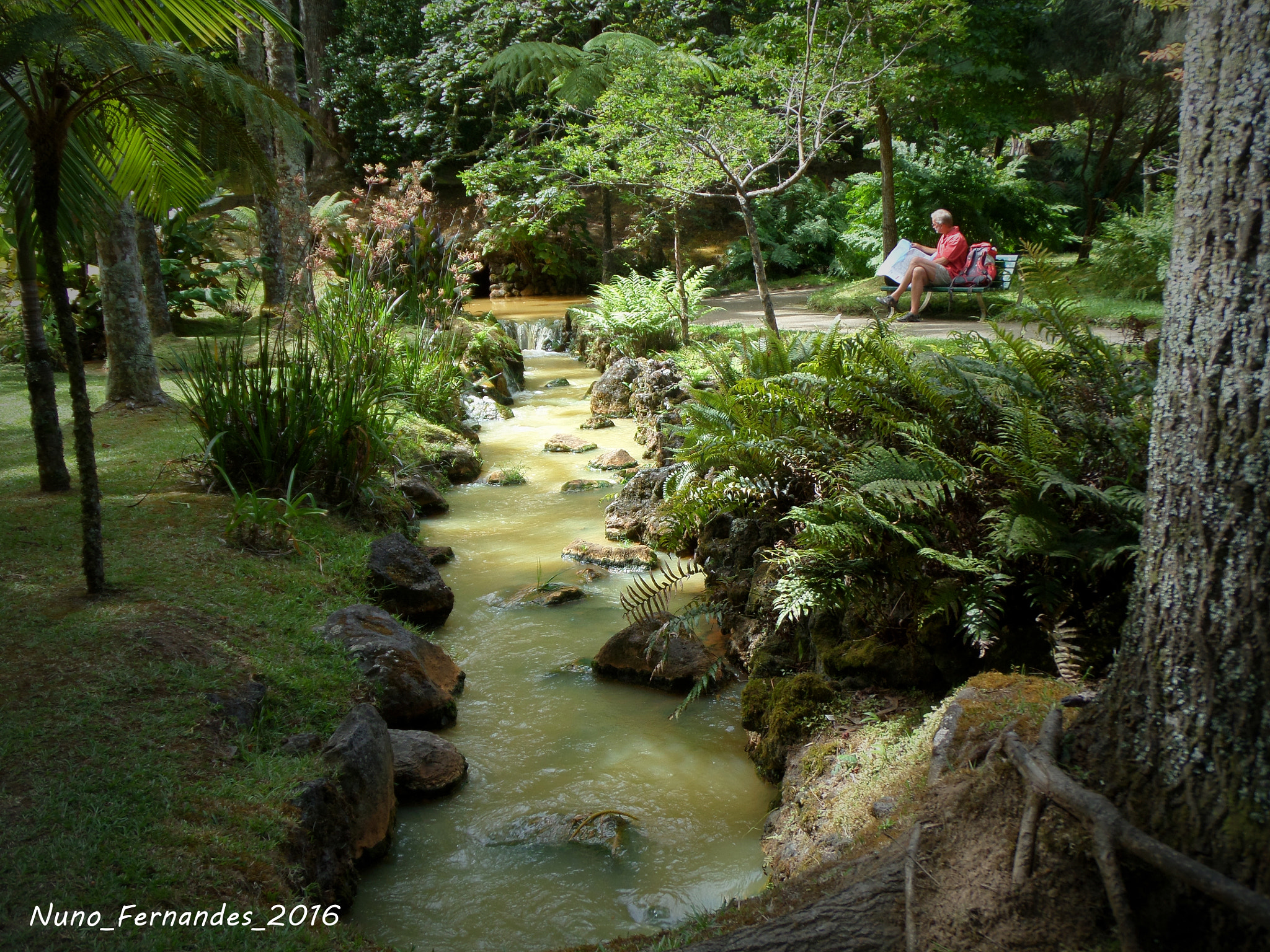 Samsung WB200F/WB201F/WB202F sample photo. Tranquility photography