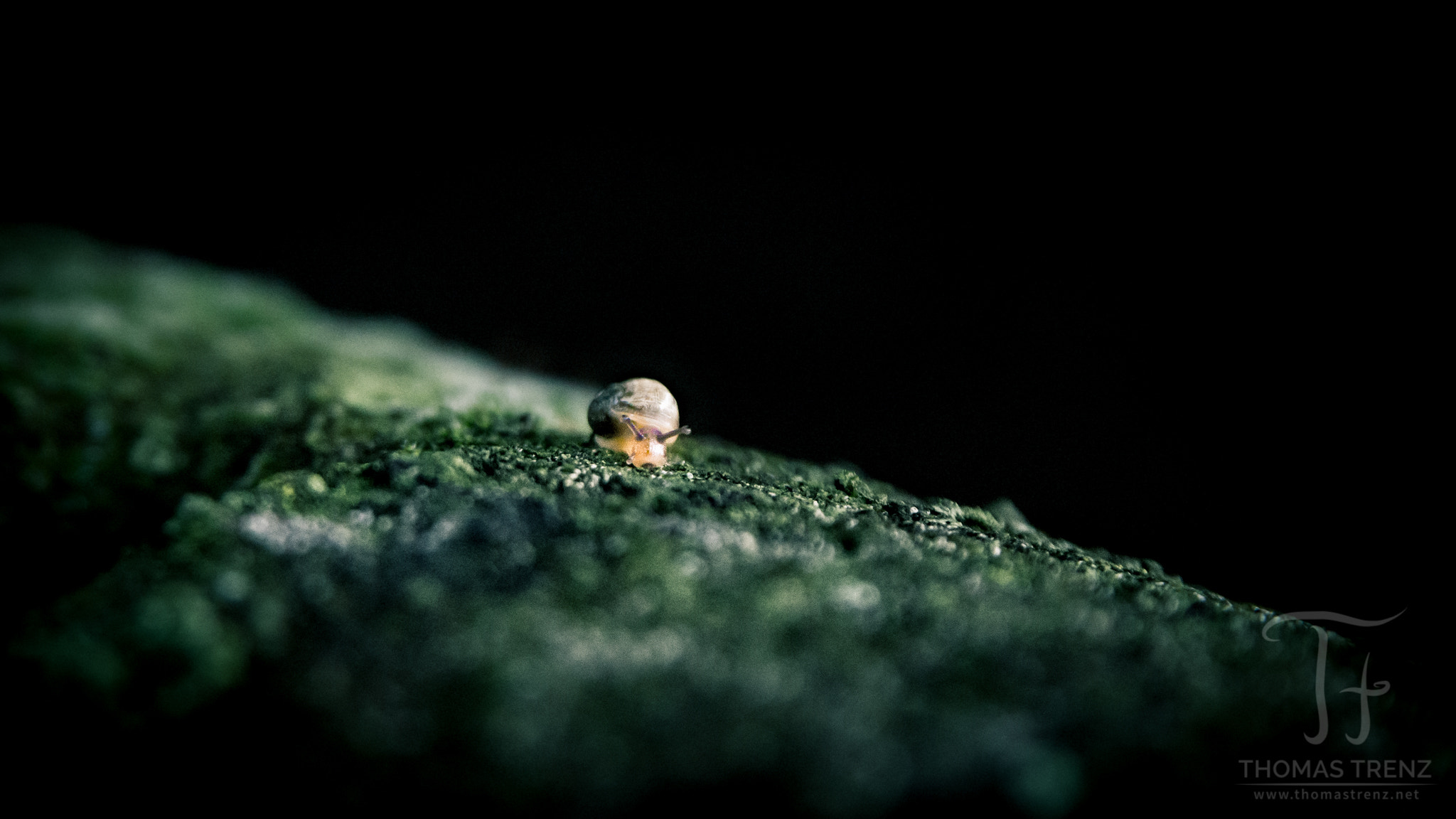 Nikon D600 sample photo. First steps photography