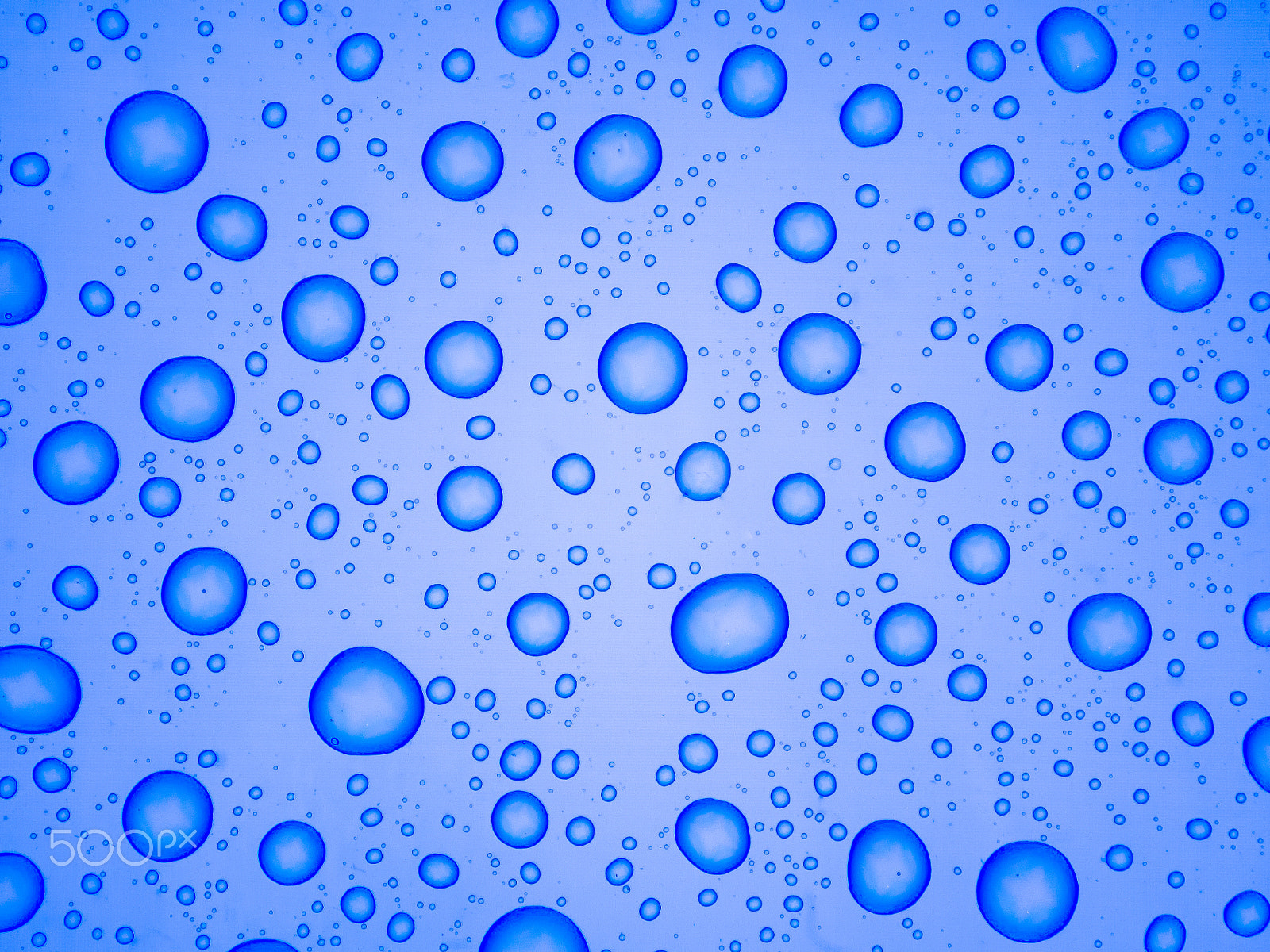 Olympus Zuiko Digital ED 70-300mm F4.0-5.6 sample photo. Water drops photography