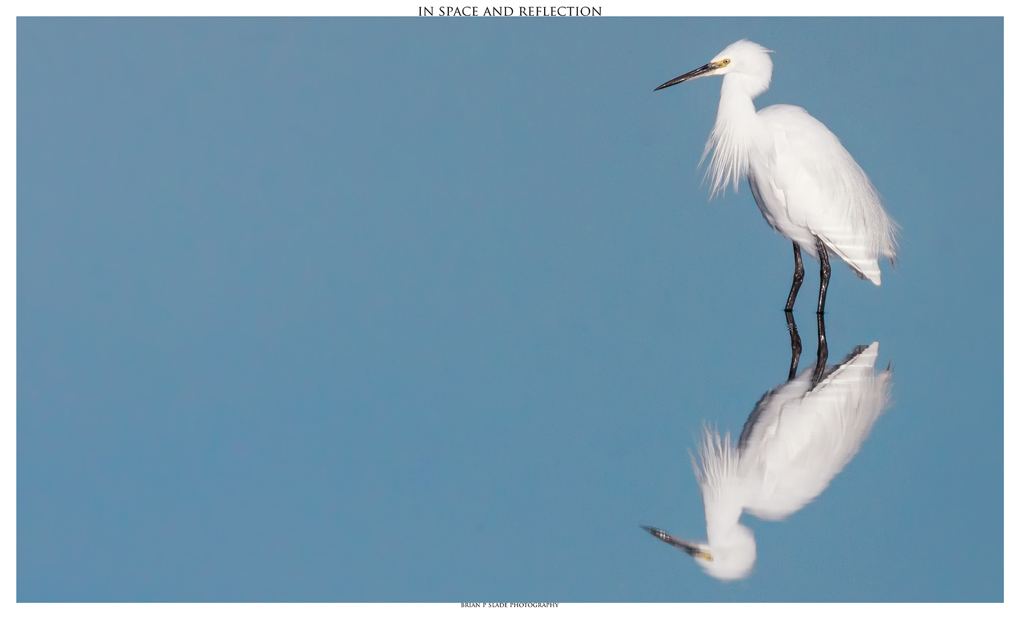 Sigma 150-600mm F5-6.3 DG OS HSM | C sample photo. In space and reflection photography