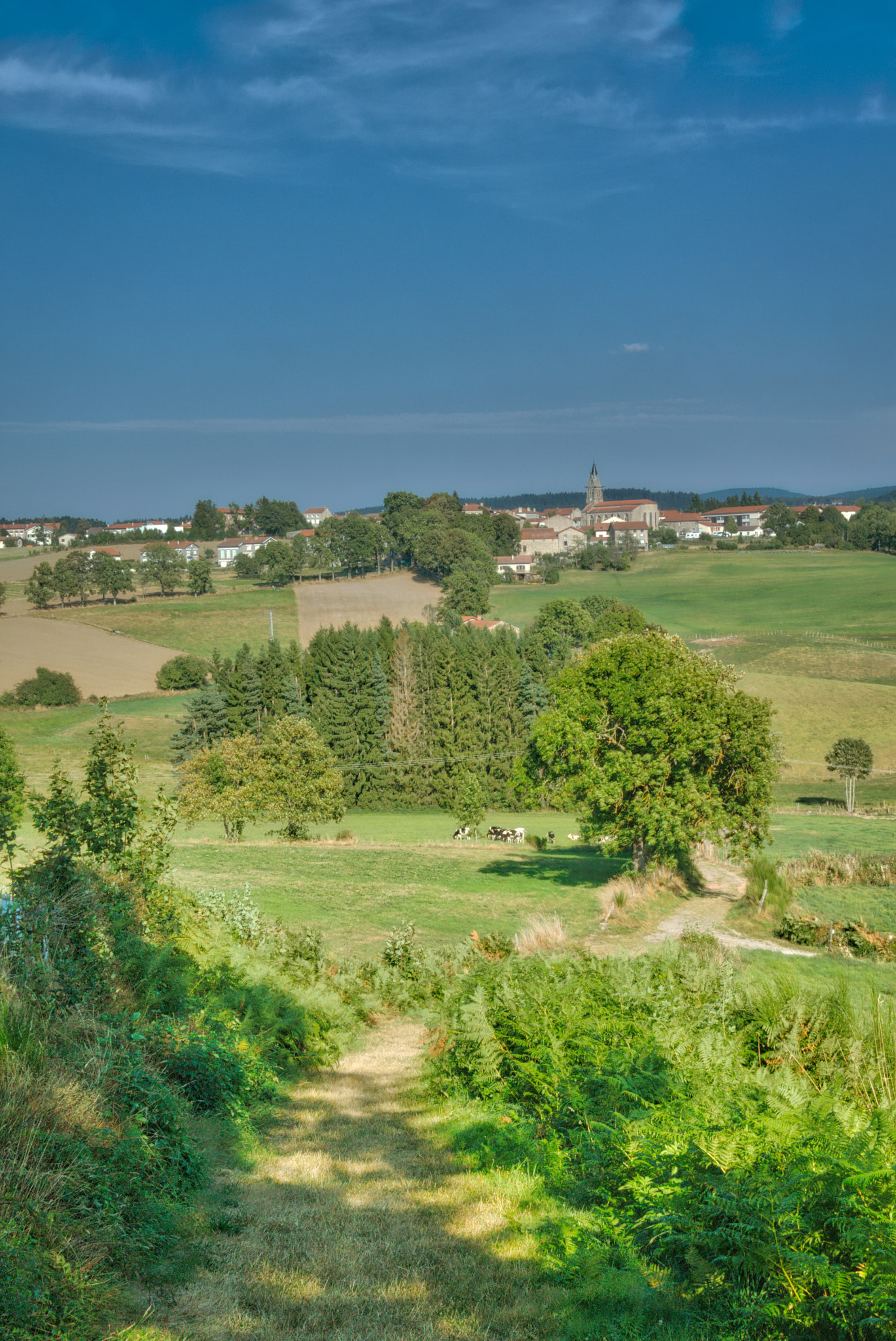 Sigma 18-200mm f/3.5-6.3 DC OS sample photo. Jonzieux photography