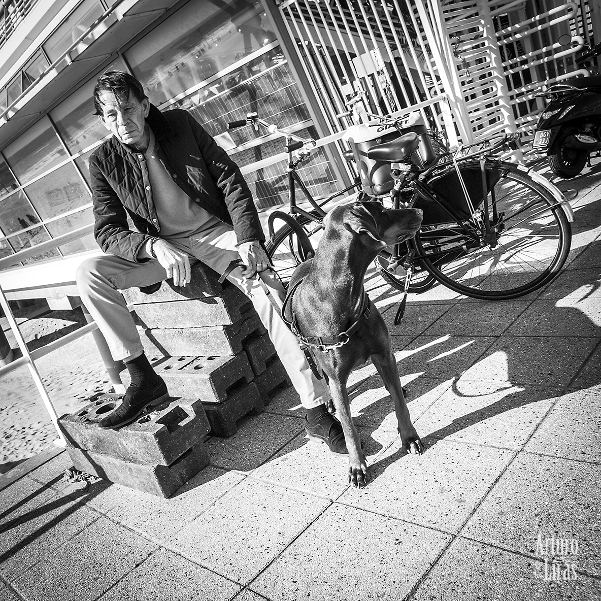 Olympus Zuiko Digital ED 12-60mm F2.8-4.0 SWD sample photo. Man with dog photography
