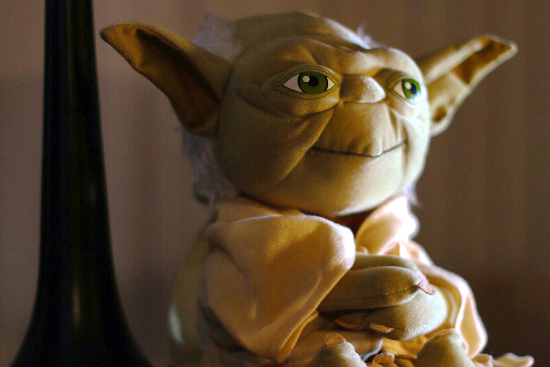 Practicing my portrait photography on the only subject around - Yoda