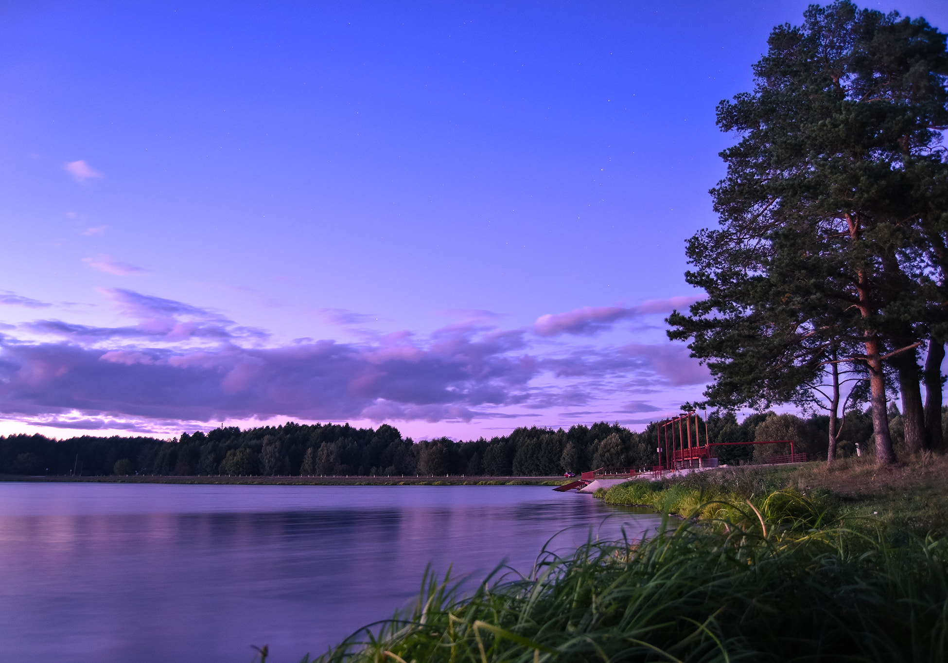 AF Zoom-Nikkor 28-70mm f/3.5-4.5 sample photo. Purple photography