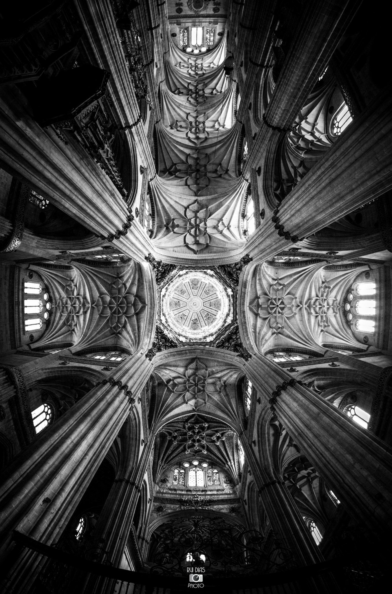 Nikon D7200 + Samyang 8mm F3.5 Aspherical IF MC Fisheye sample photo. Look up and get lost photography