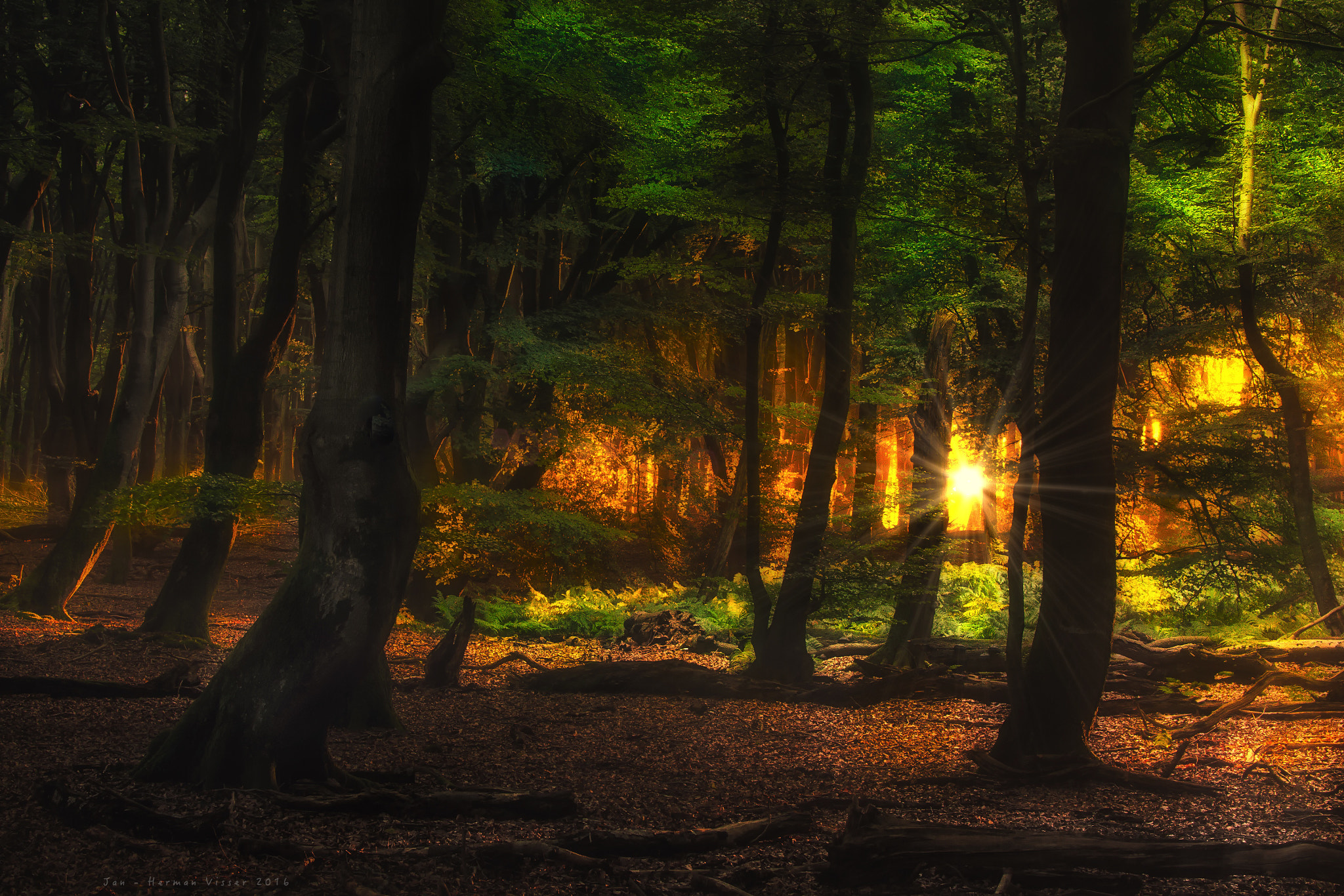 Canon EF 50-200mm f/3.5-4.5 sample photo. When morning comes ... photography