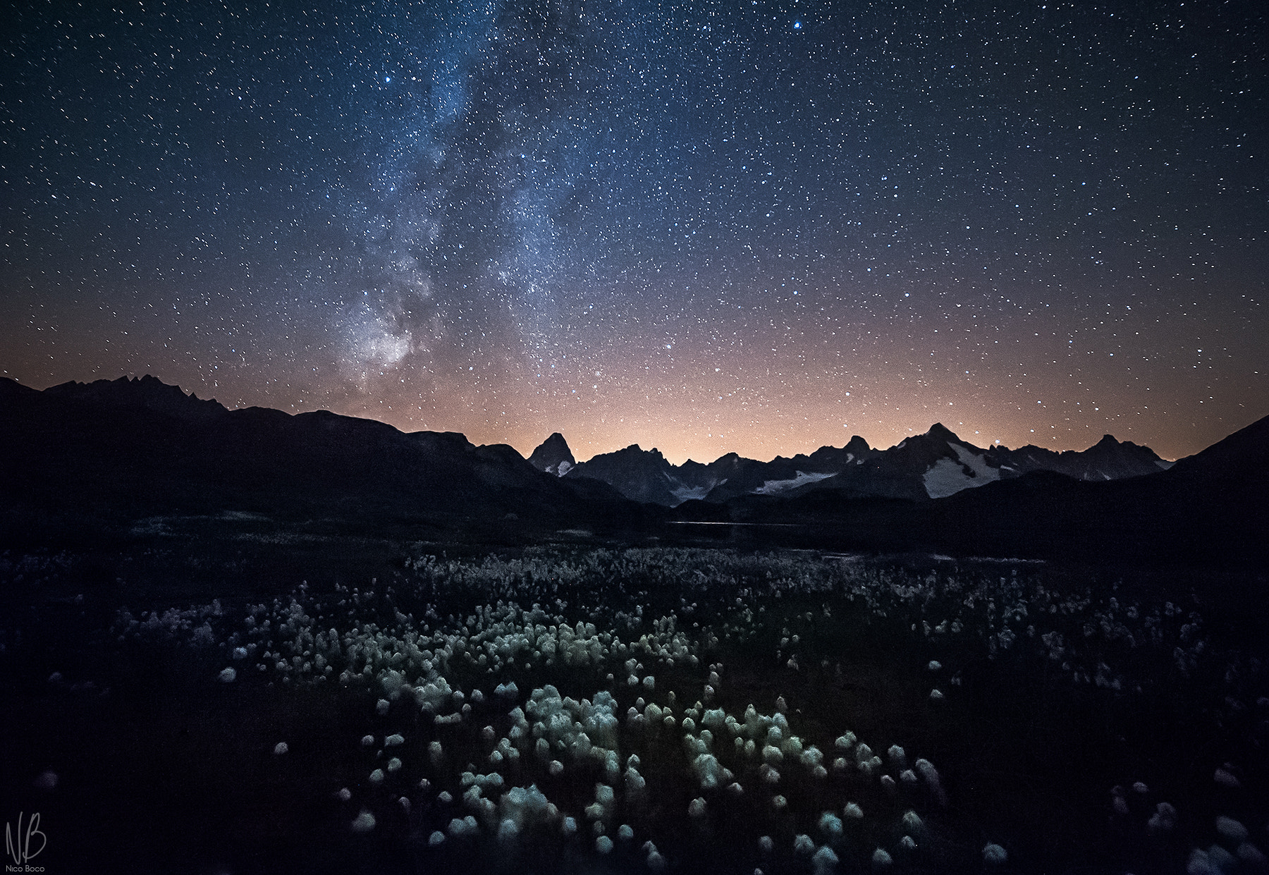 Samyang 14mm F2.8 ED AS IF UMC sample photo. Galactic eriophorum photography