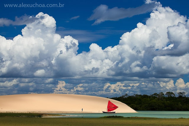 Canon EF 100-400mm F4.5-5.6L IS USM sample photo. Brazil photography