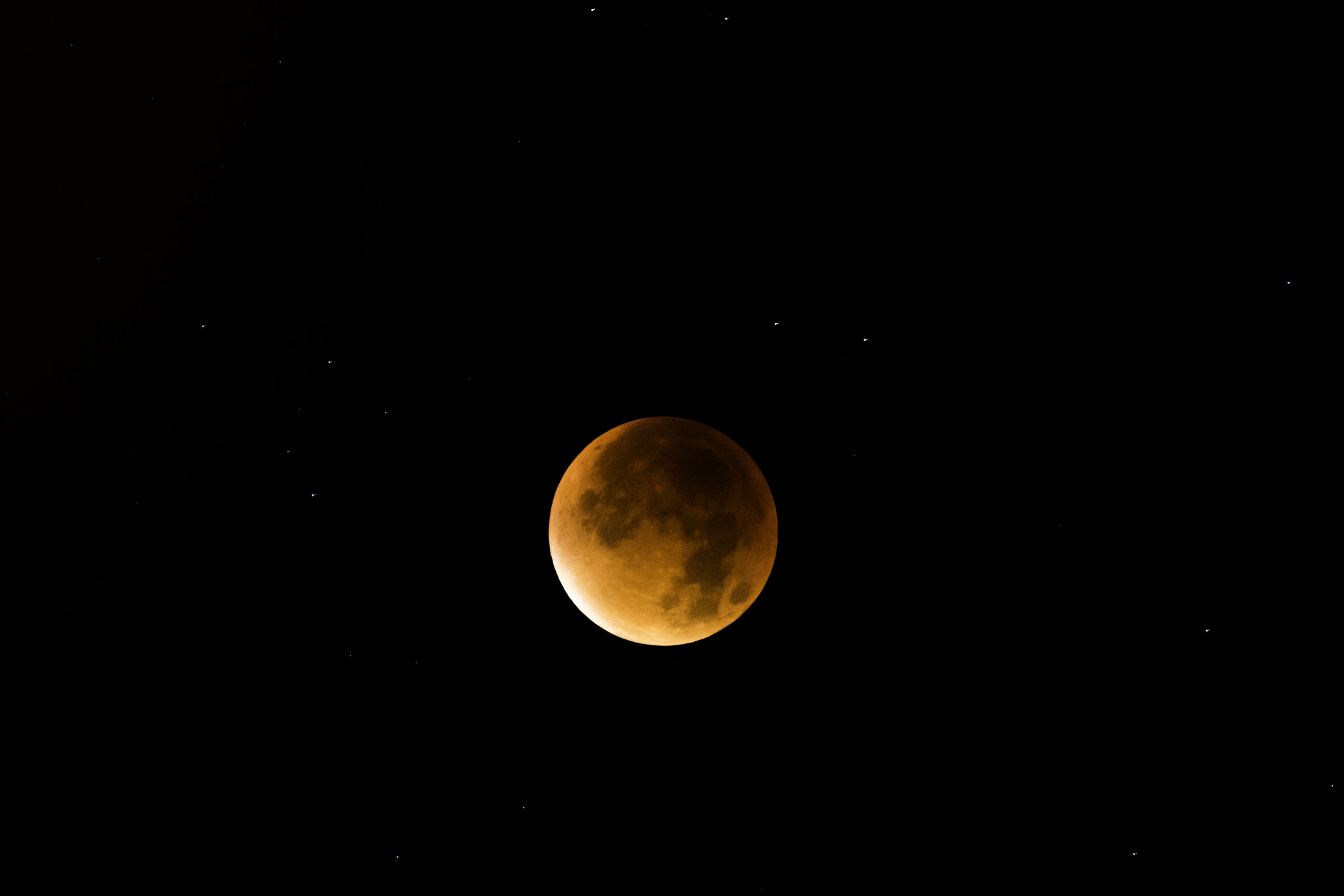 Sigma 150-600mm F5-6.3 DG OS HSM | C sample photo. Super lune photography