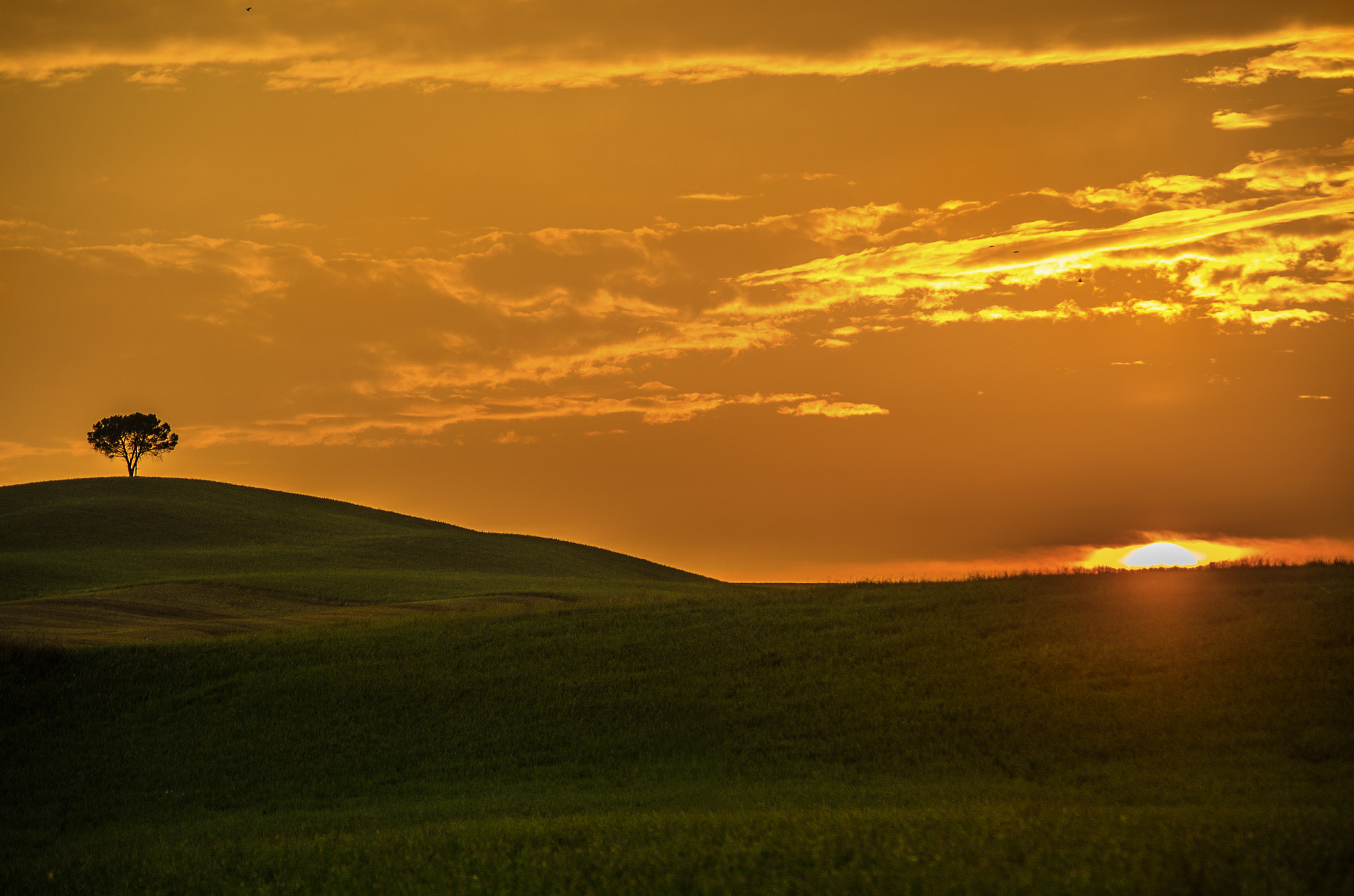 Pentax smc DA 55-300mm F4.0-5.8 ED sample photo. The sunset and the tree photography