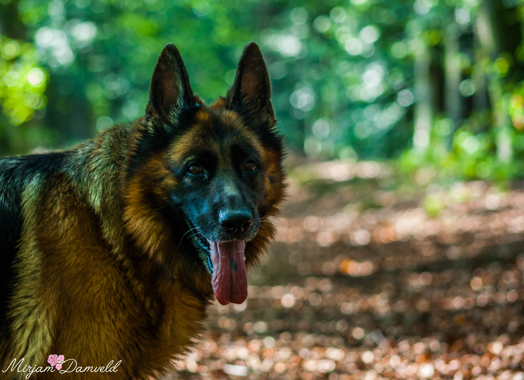 Canon EF 75-300mm f/4-5.6 USM sample photo. Img photography