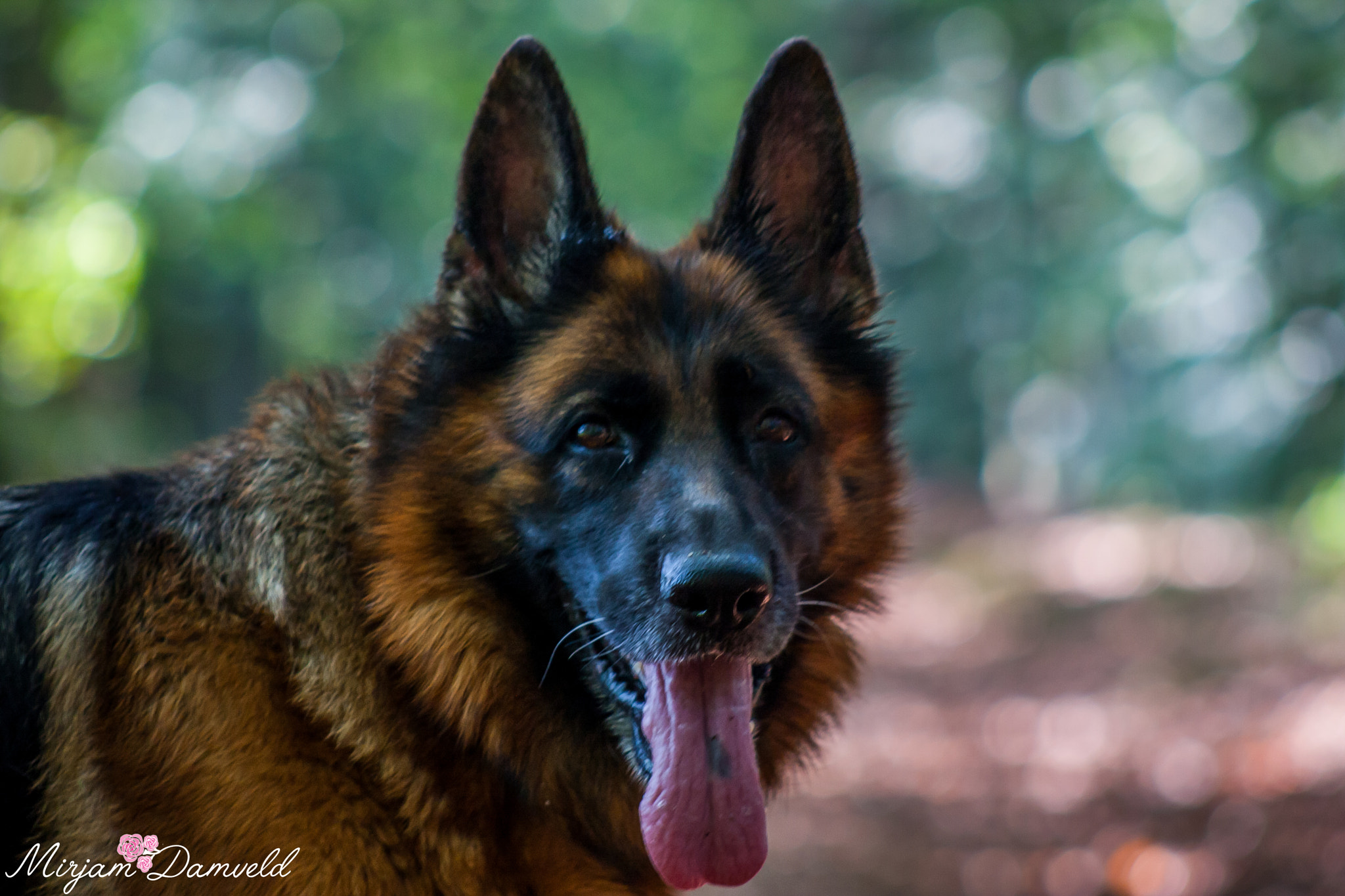 Canon EF 75-300mm f/4-5.6 USM sample photo. Img photography