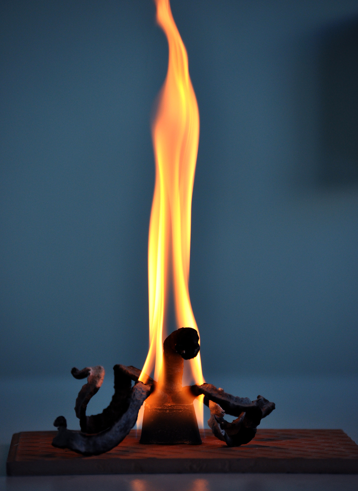 Nikon D5000 sample photo. Funny chemistry experiment of faraon snakes.jpg photography