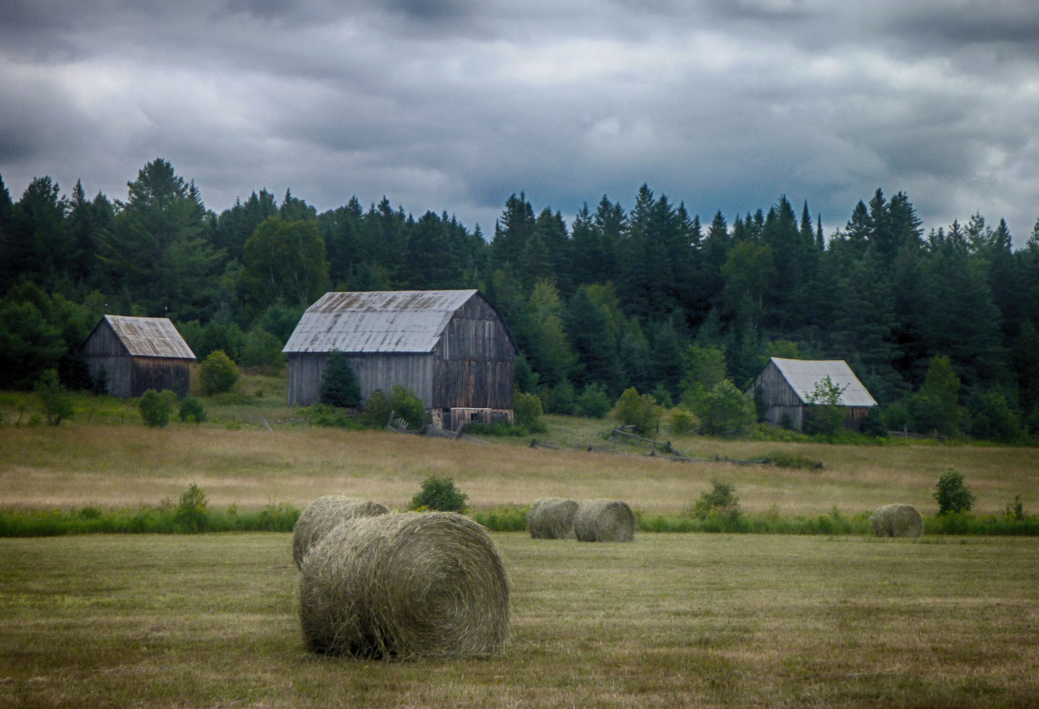 Panasonic DMC-TS2 sample photo. Late summer hay field photography