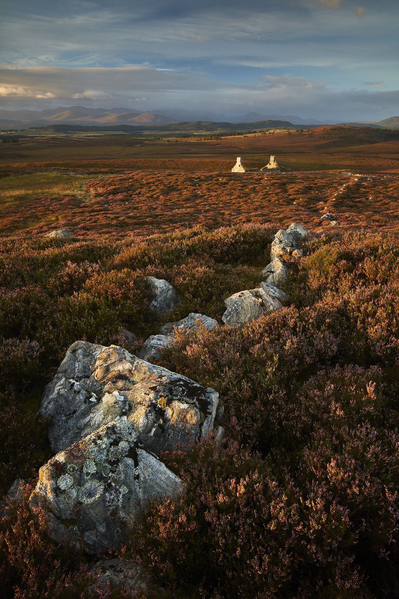 Canon TS-E 24mm F3.5L II Tilt-Shift sample photo. Gilt moor photography