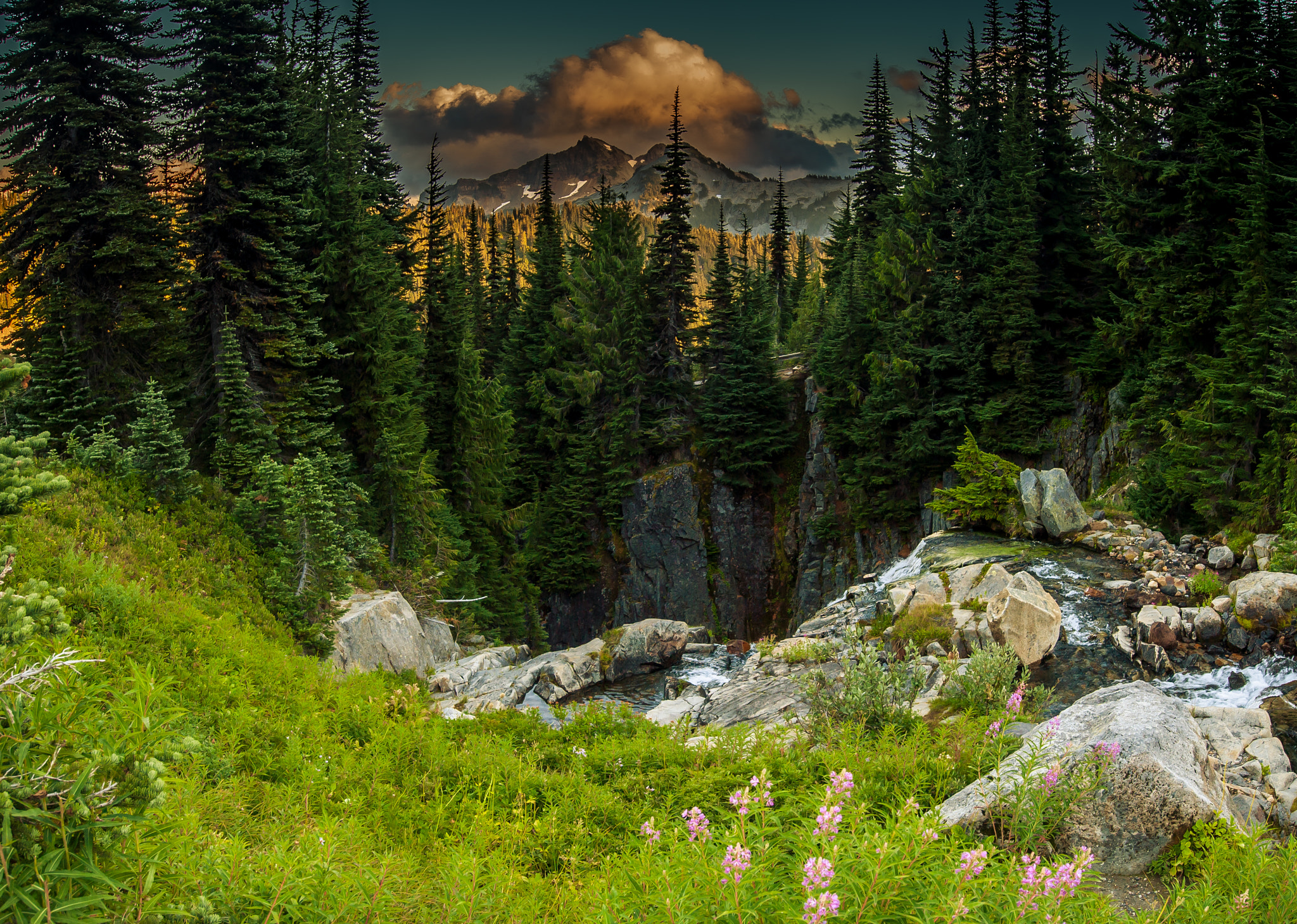 Nikon AF-S Nikkor 18-35mm F3.5-4.5G ED sample photo. Mount rainier np-1.jpg photography