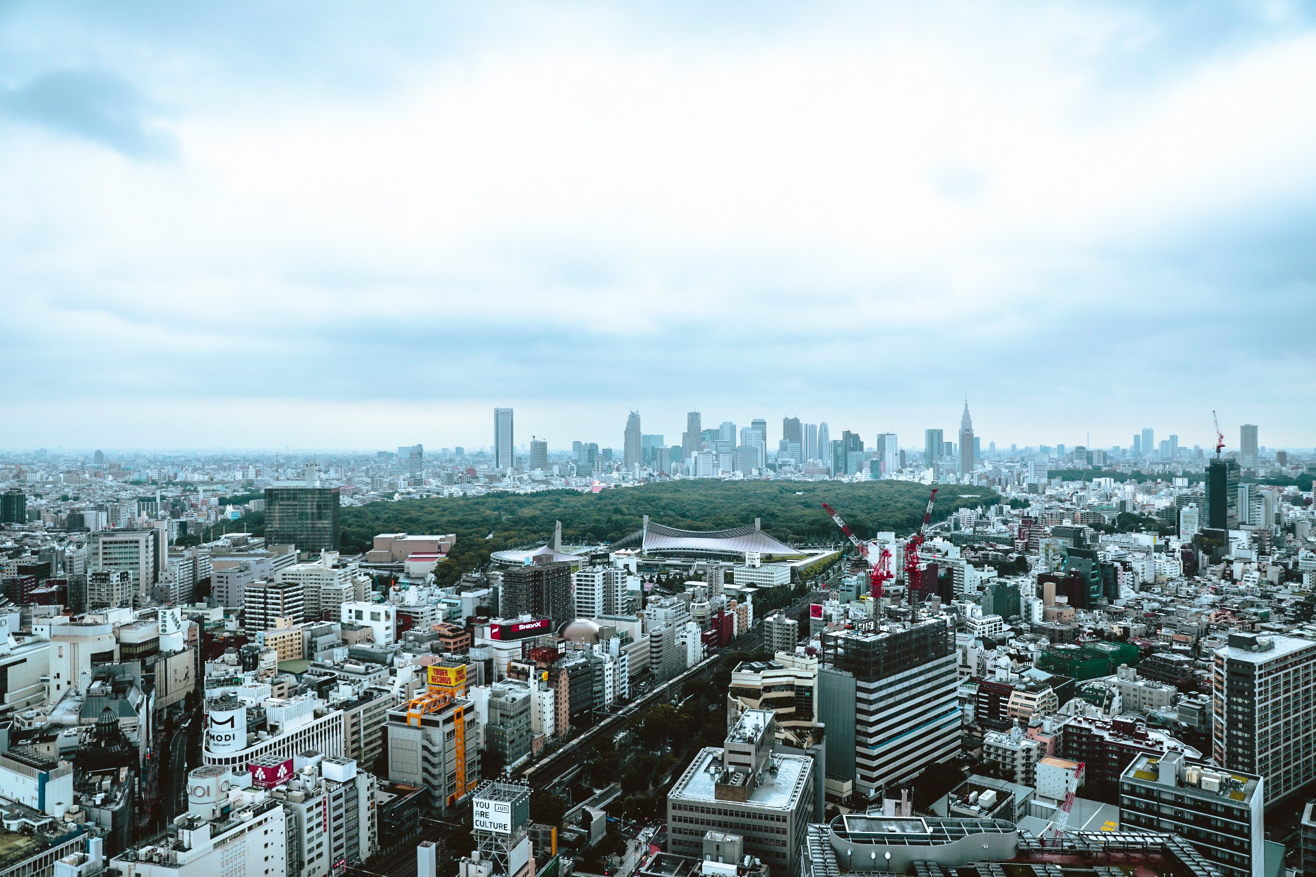 Canon EF 24-70mm F2.8L II USM sample photo. ヒカリエからの新宿 photography
