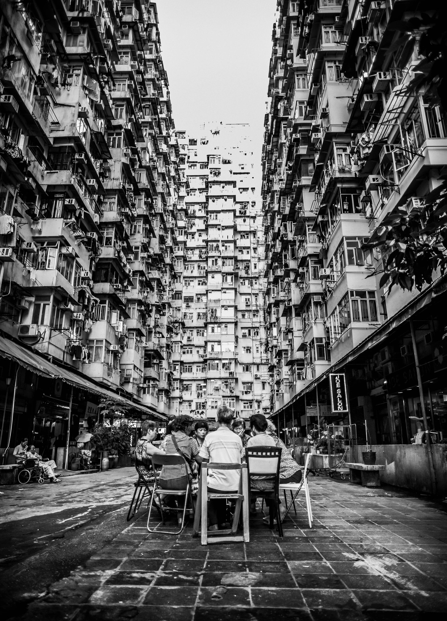 Leica Summilux-M 21mm F1.4 Asph sample photo. Close encounters photography