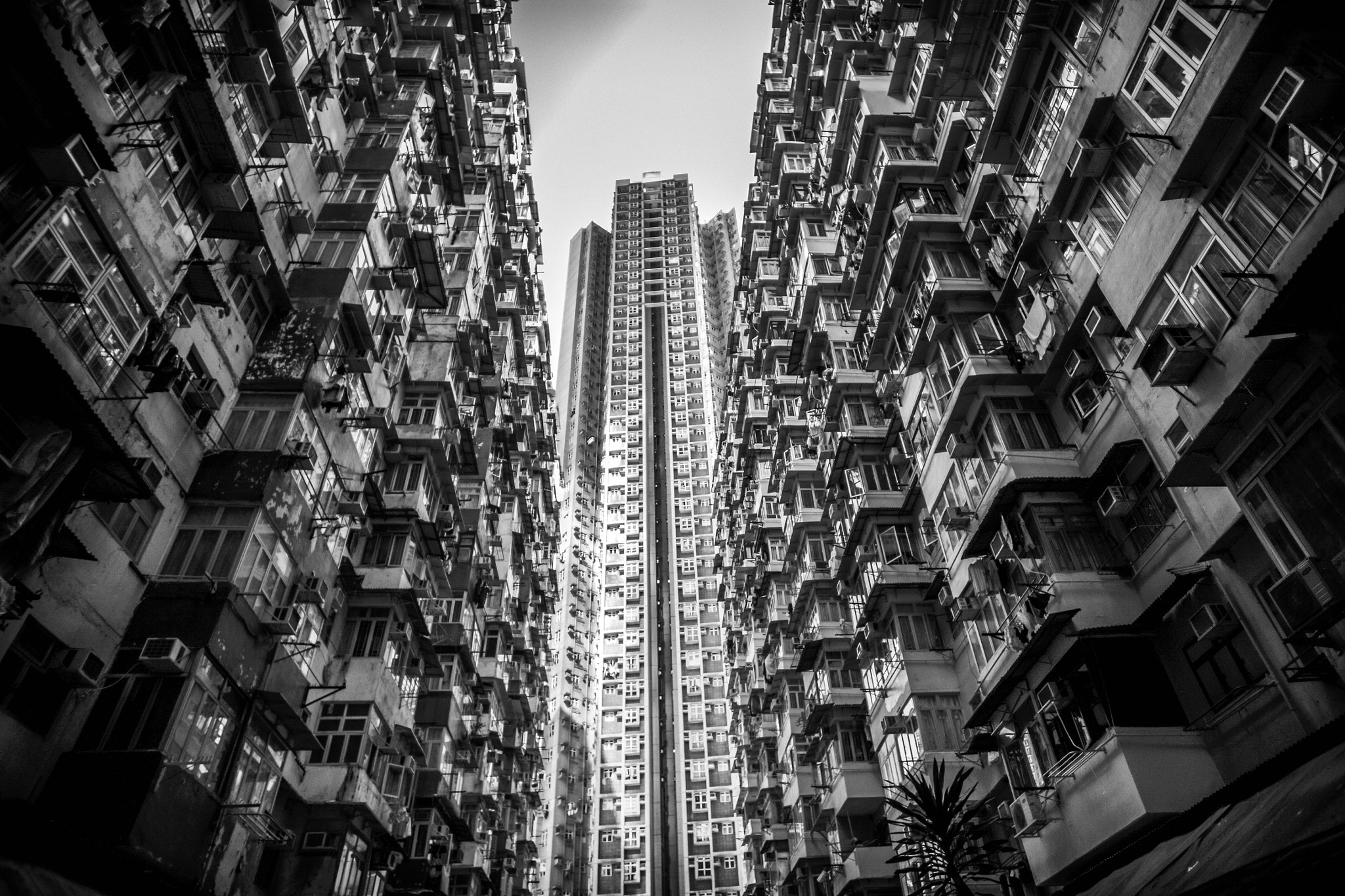 Leica Summilux-M 21mm F1.4 Asph sample photo. Elevate yourself photography