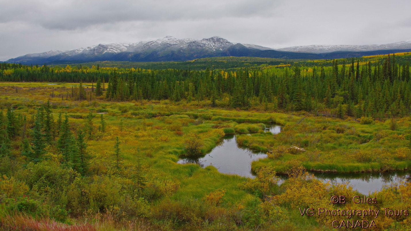 Pentax smc DA 18-55mm F3.5-5.6 AL WR sample photo. Before the rain yukon photography