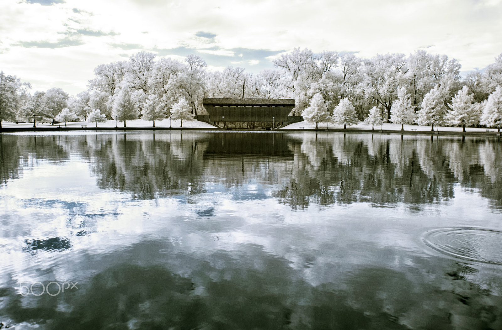 Nikon D70s sample photo. Mill race park (ir) photography