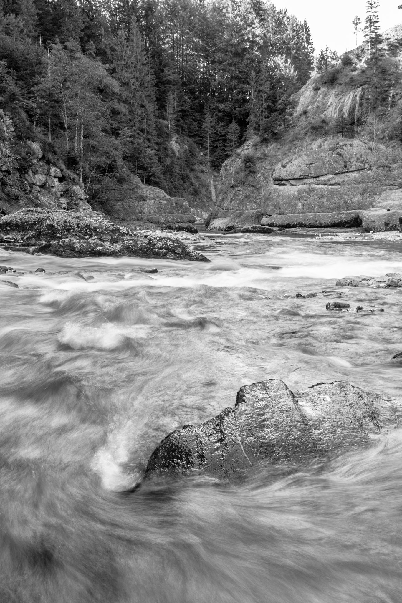 Canon EF-S 18-55mm F3.5-5.6 II sample photo. Scheibum photography