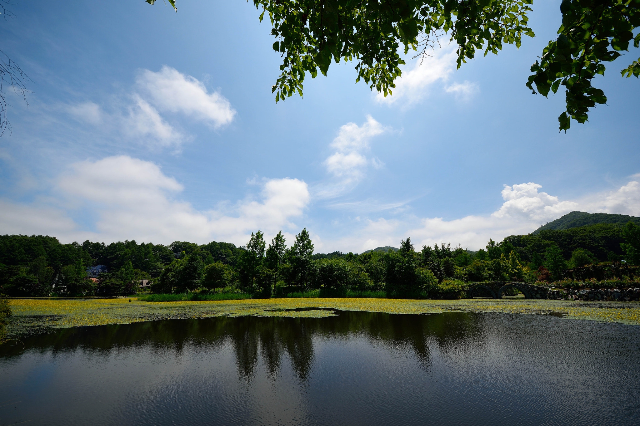 Sigma 8-16mm F4.5-5.6 DC HSM sample photo. Karuizawa20160724 photography