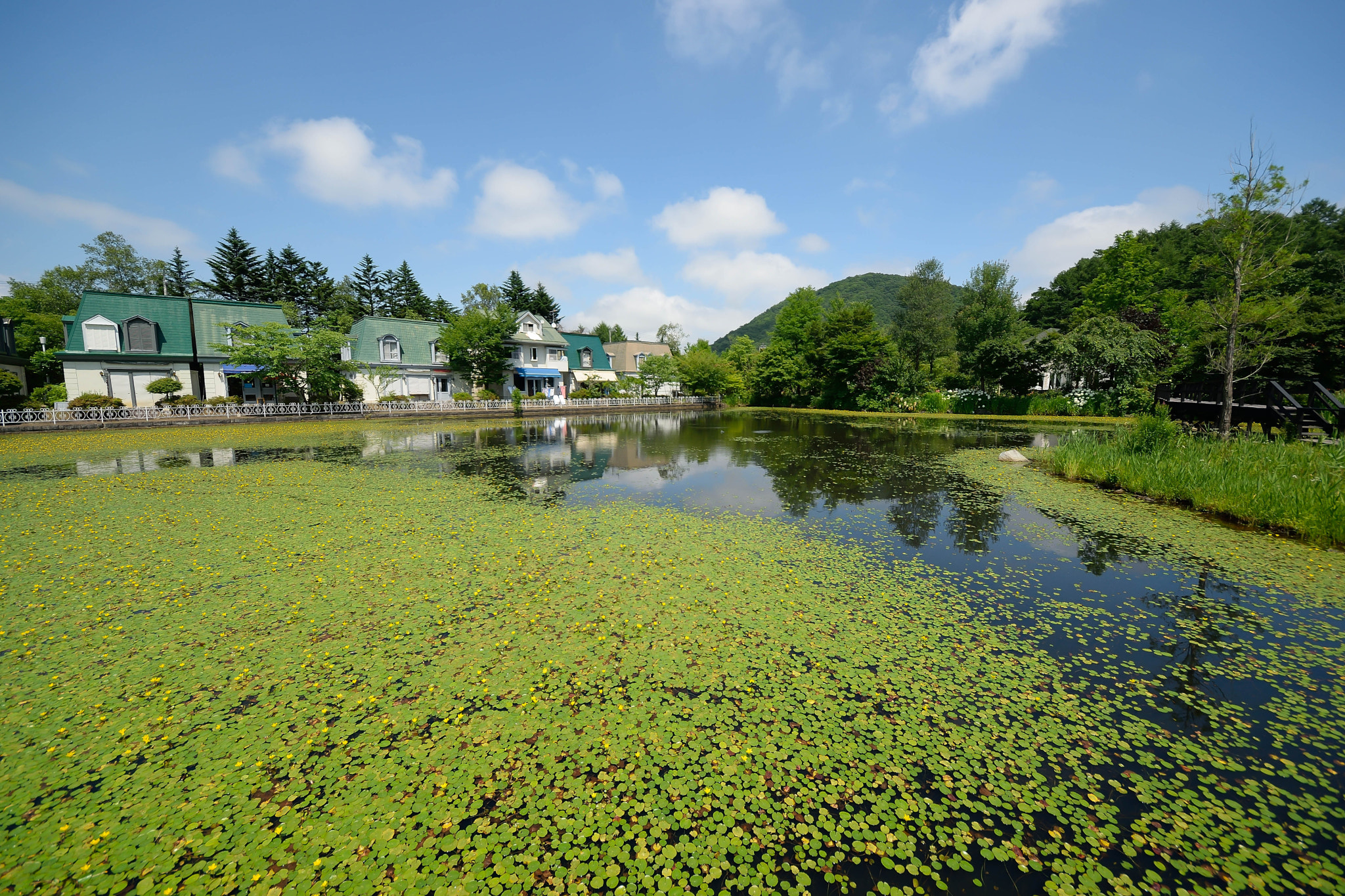 Sigma 8-16mm F4.5-5.6 DC HSM sample photo. Karuizawa20160724 photography