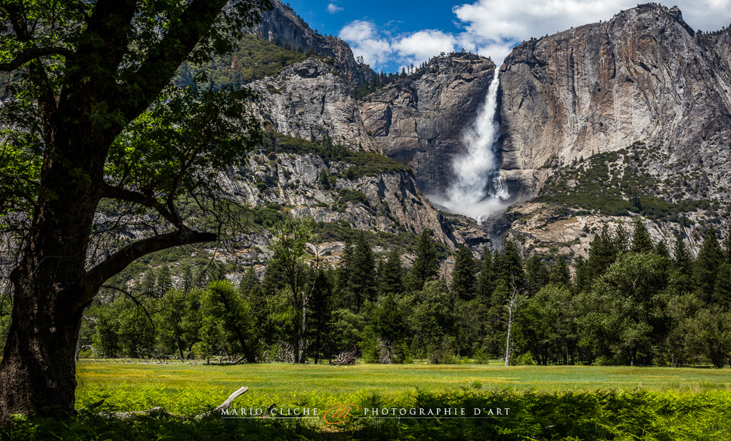 Canon EOS 5DS + Canon EF 24-70mm F2.8L USM sample photo. Yosemite falls photography