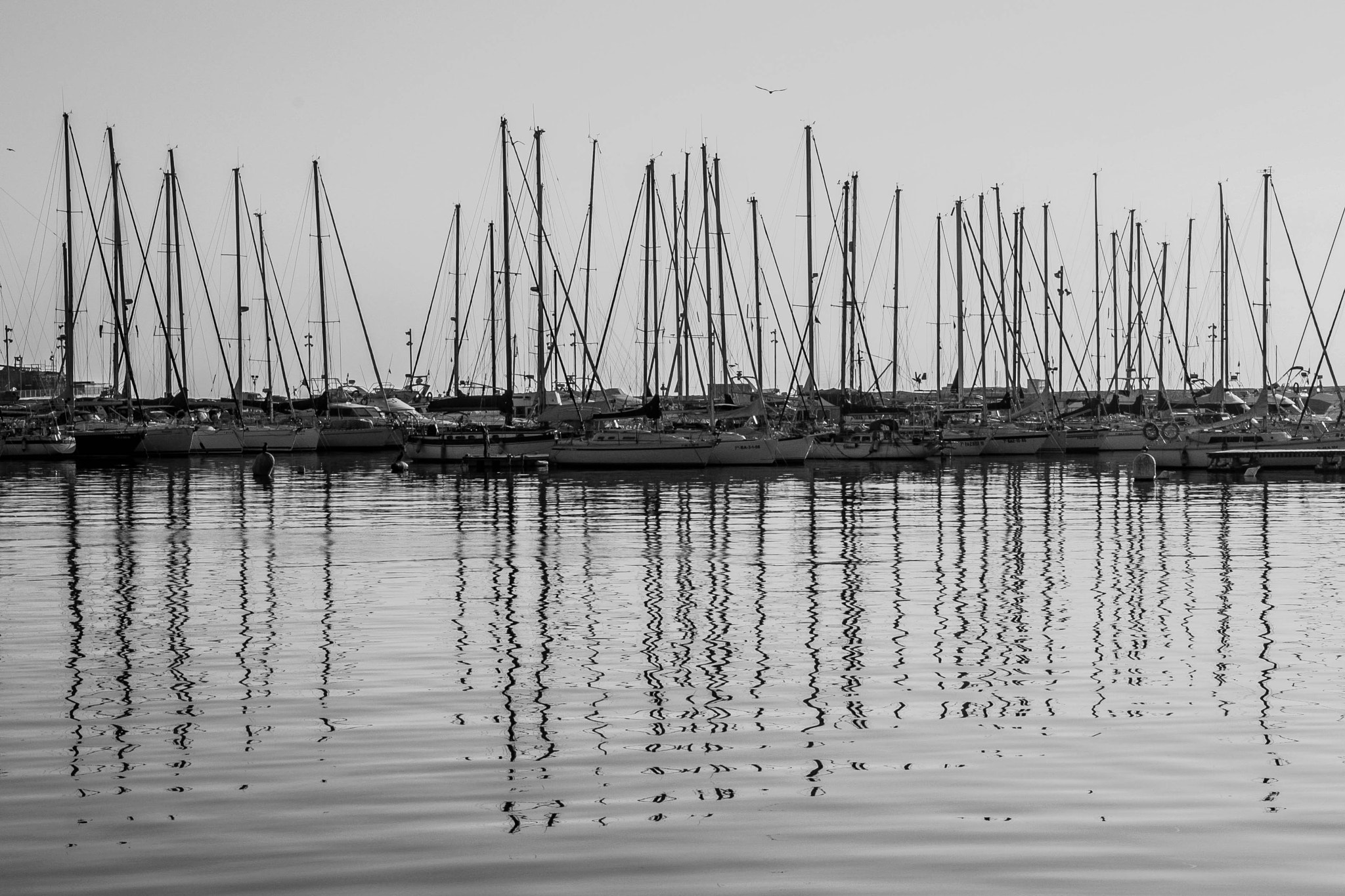 Canon EOS 1000D (EOS Digital Rebel XS / EOS Kiss F) sample photo. Puerto photography