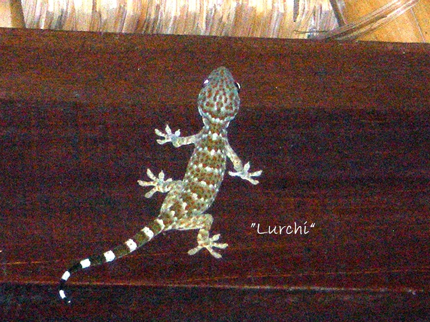 Olympus FE190/X750 sample photo. Bali photography
