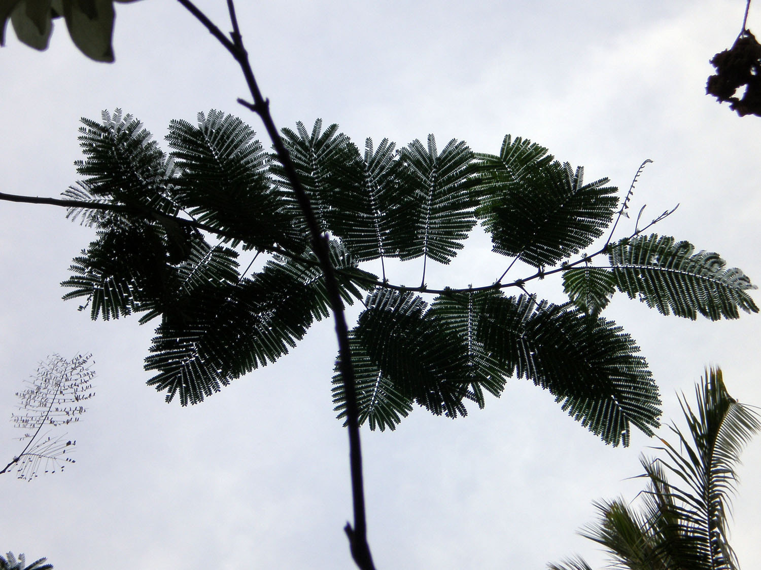 Olympus FE190/X750 sample photo. Bali photography