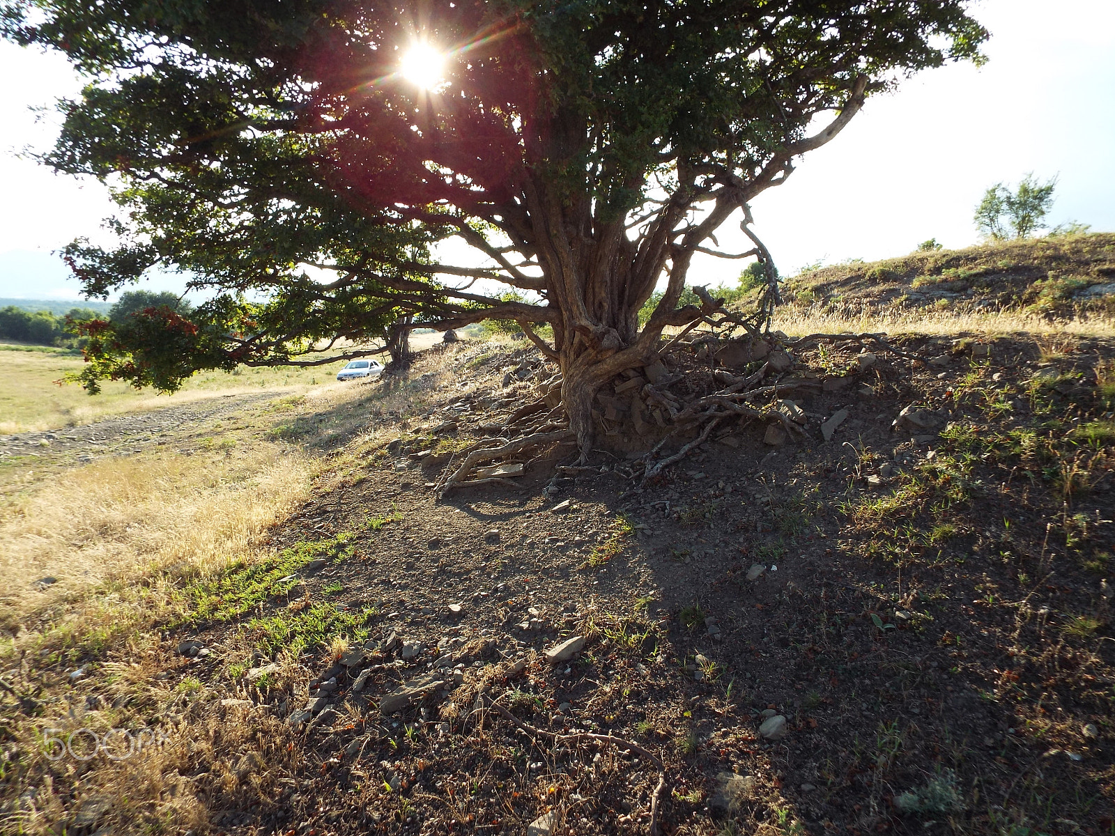 Fujifilm FinePix S9800 sample photo. Nature photography