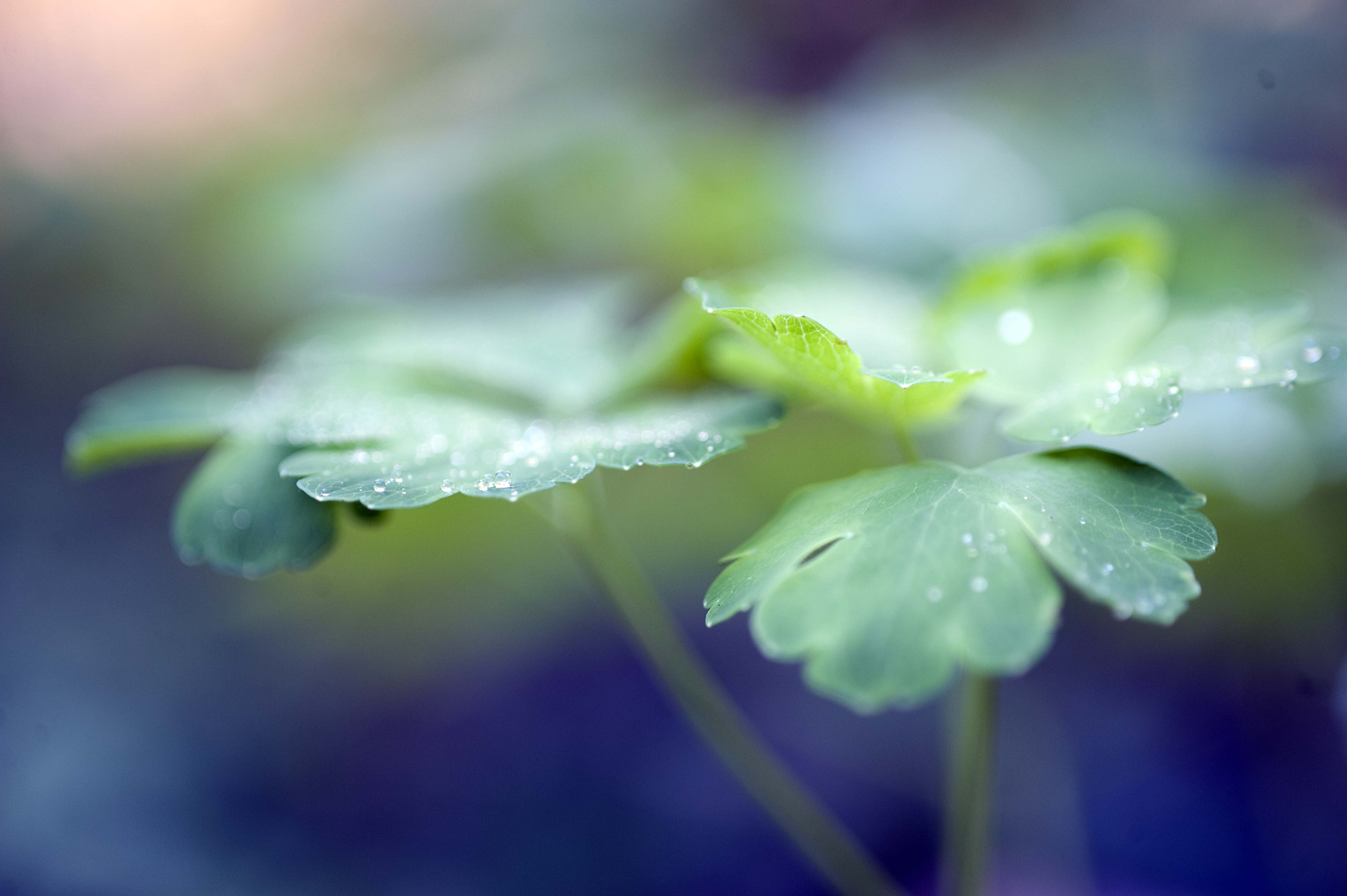 Nikon D3 sample photo